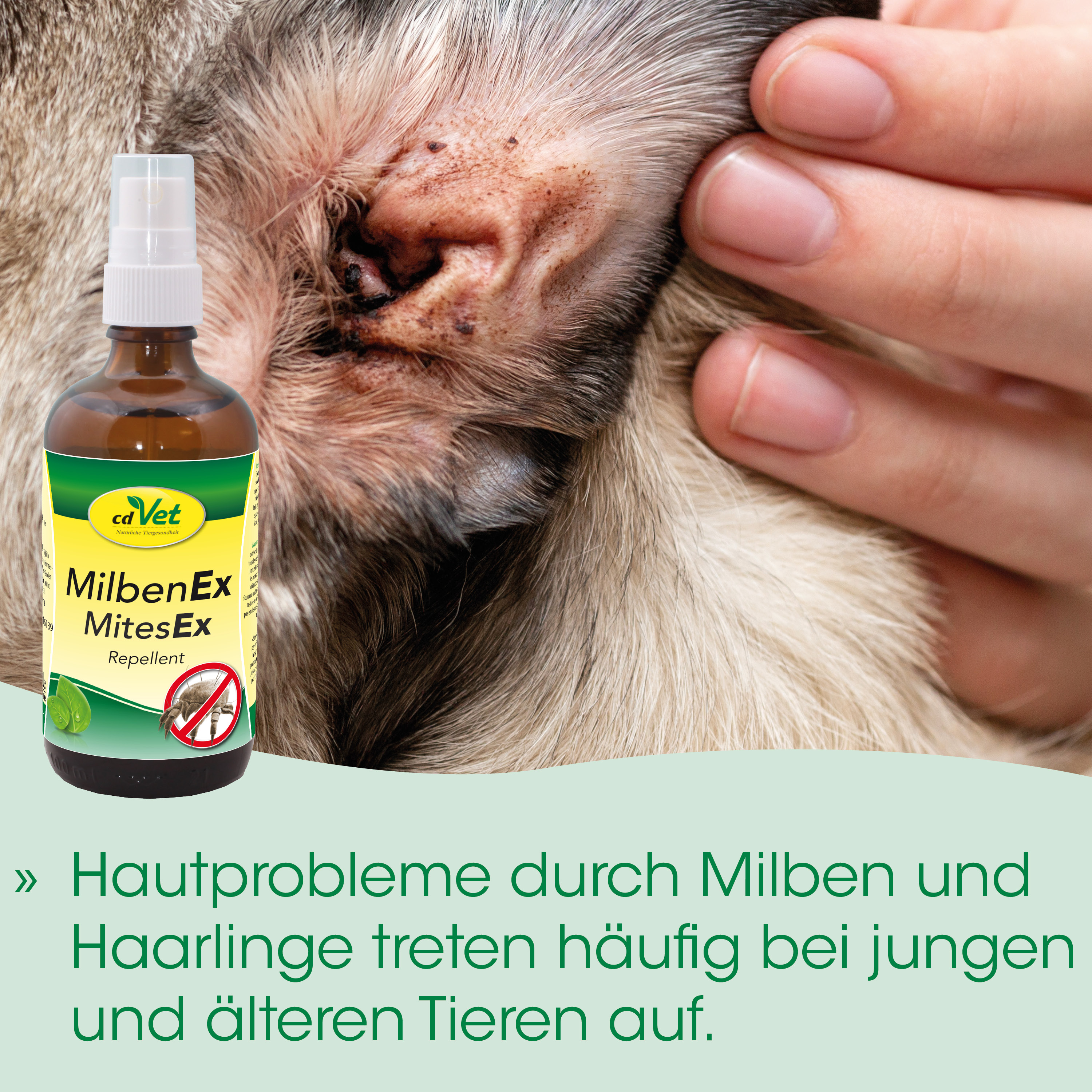 Mite Ex, Milbenex, Repellent, Katzenpflege, Tierarztbedarf