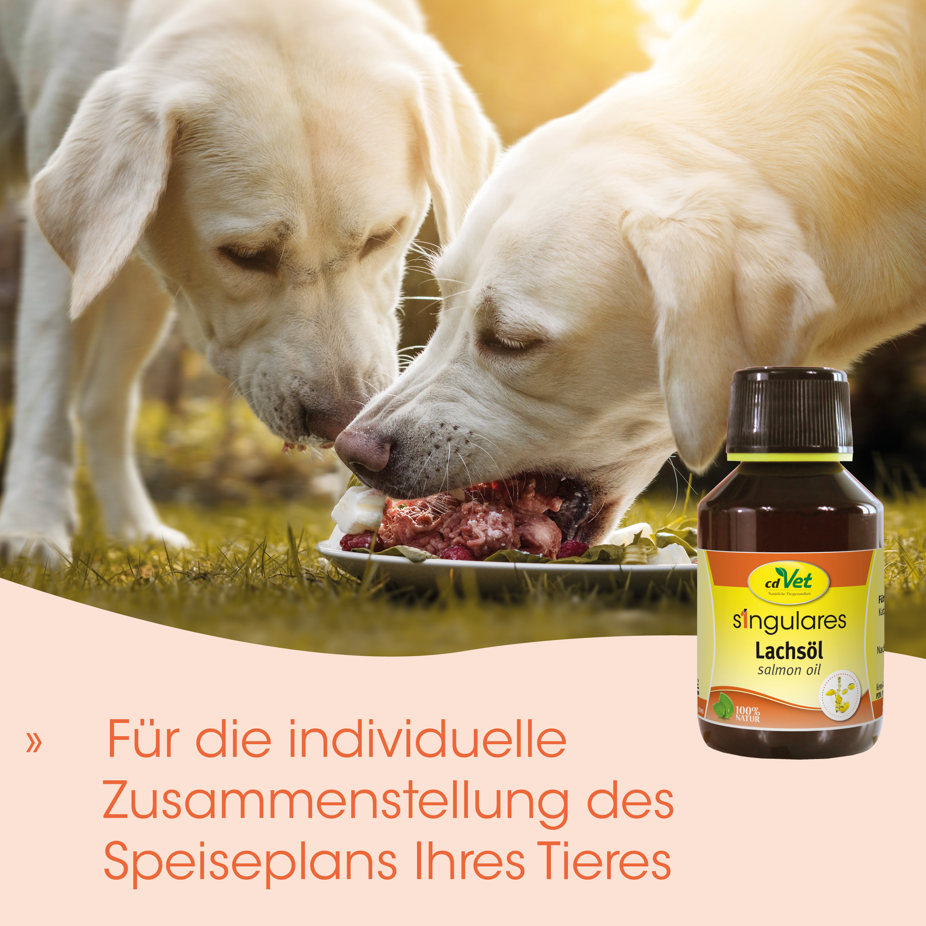 Hund, Hundefutter, Lachsöl, Tierernährung, Futterschale