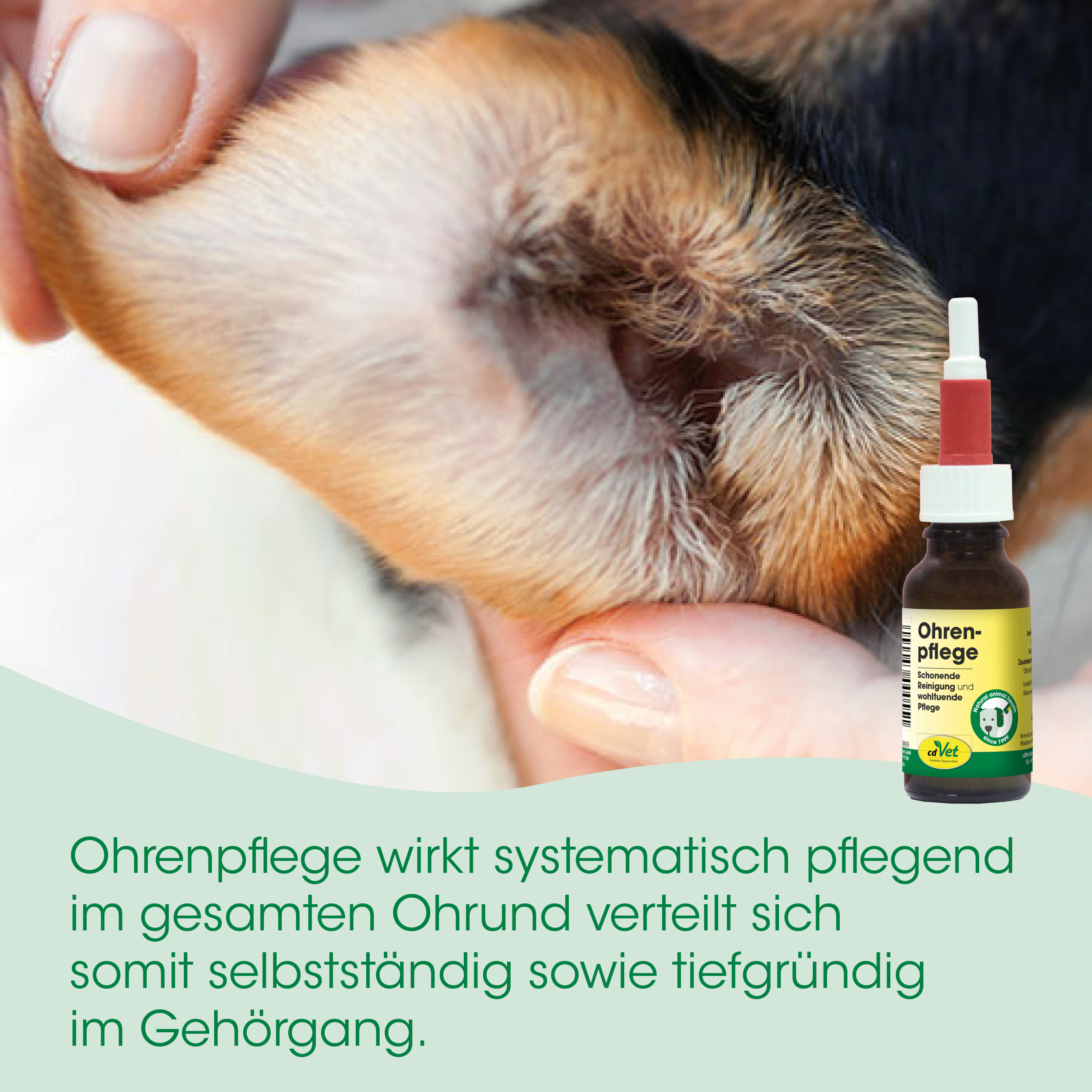 Ohrpflege, Tierarzt, Ohrenpflege, Pflegeprodukt, Flasche