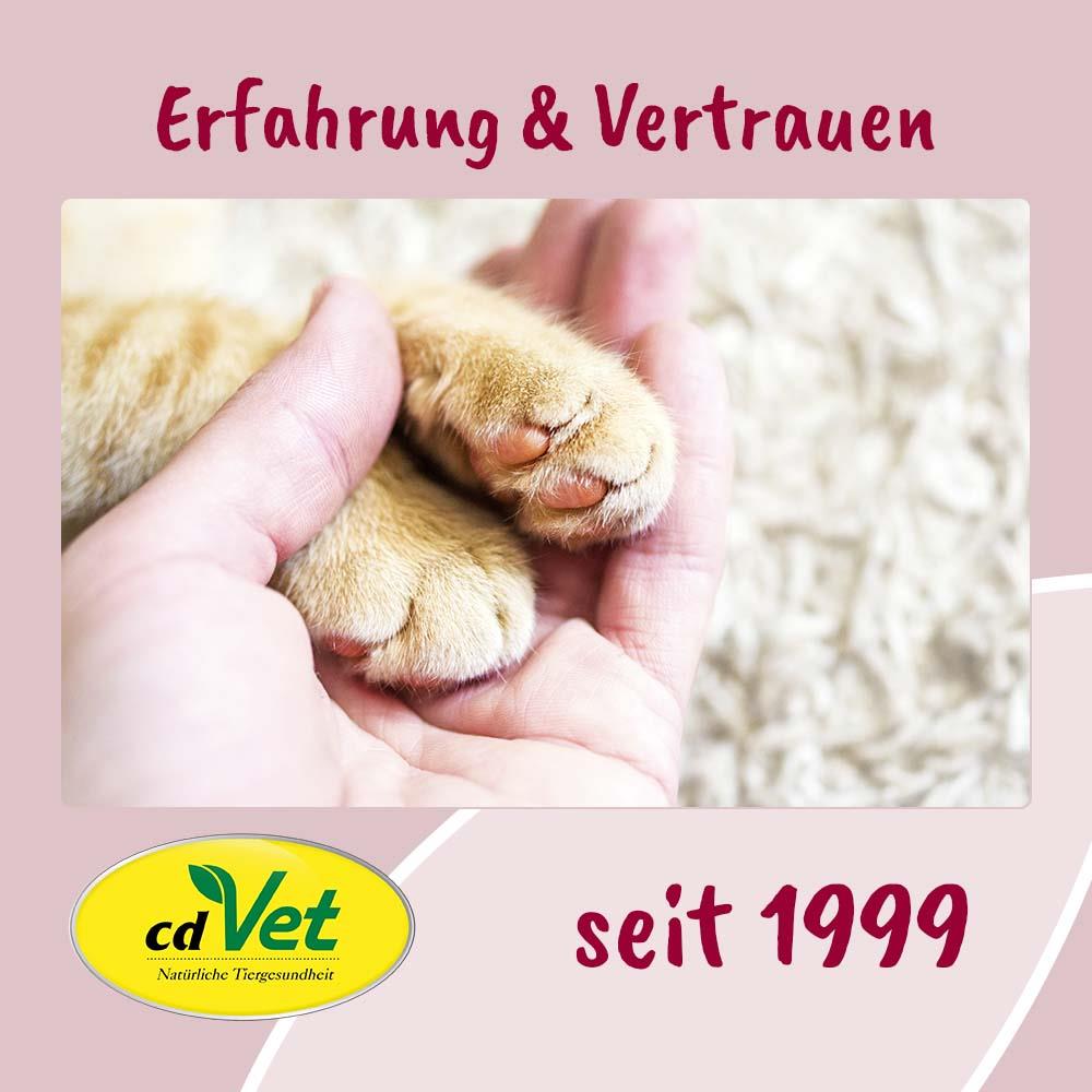Tierpfote, Pfoten, Katzenspfote, Katzenpfote, Katzenpfote