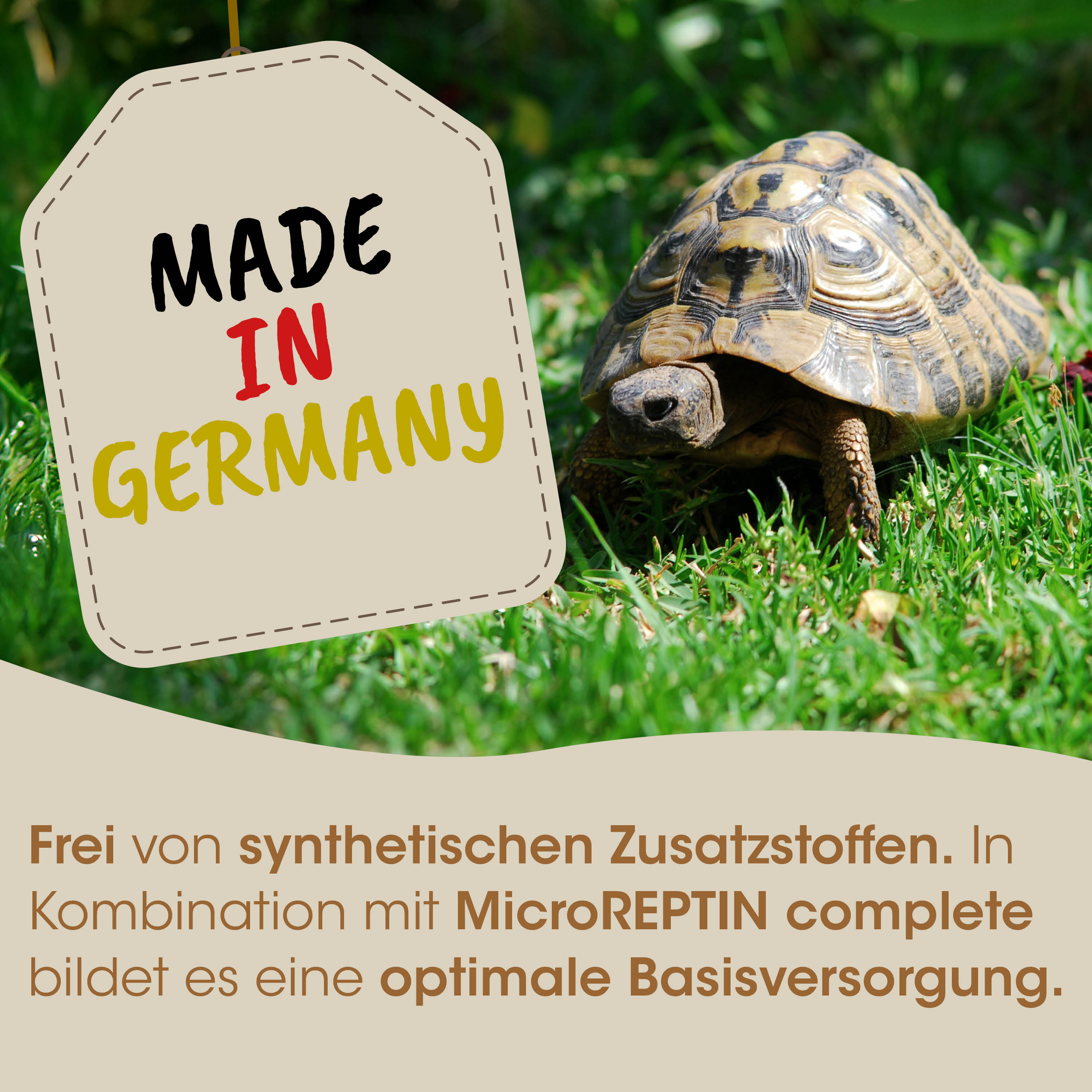 Pflanzenbewohner, Schildkröte, Schale, Gras, Made in Germany