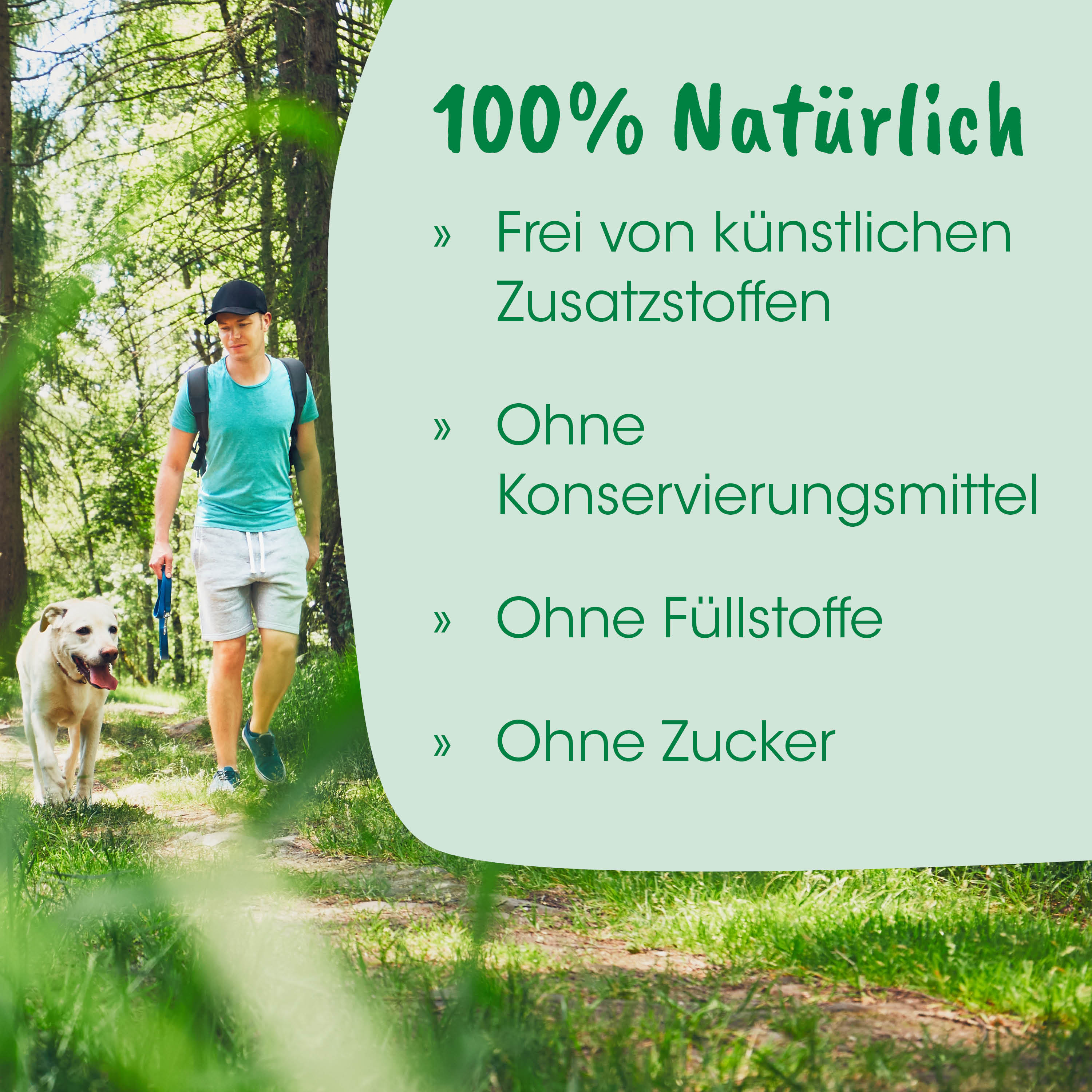 Mann, Rucksack, grünes Shirt, Shorts, Hund