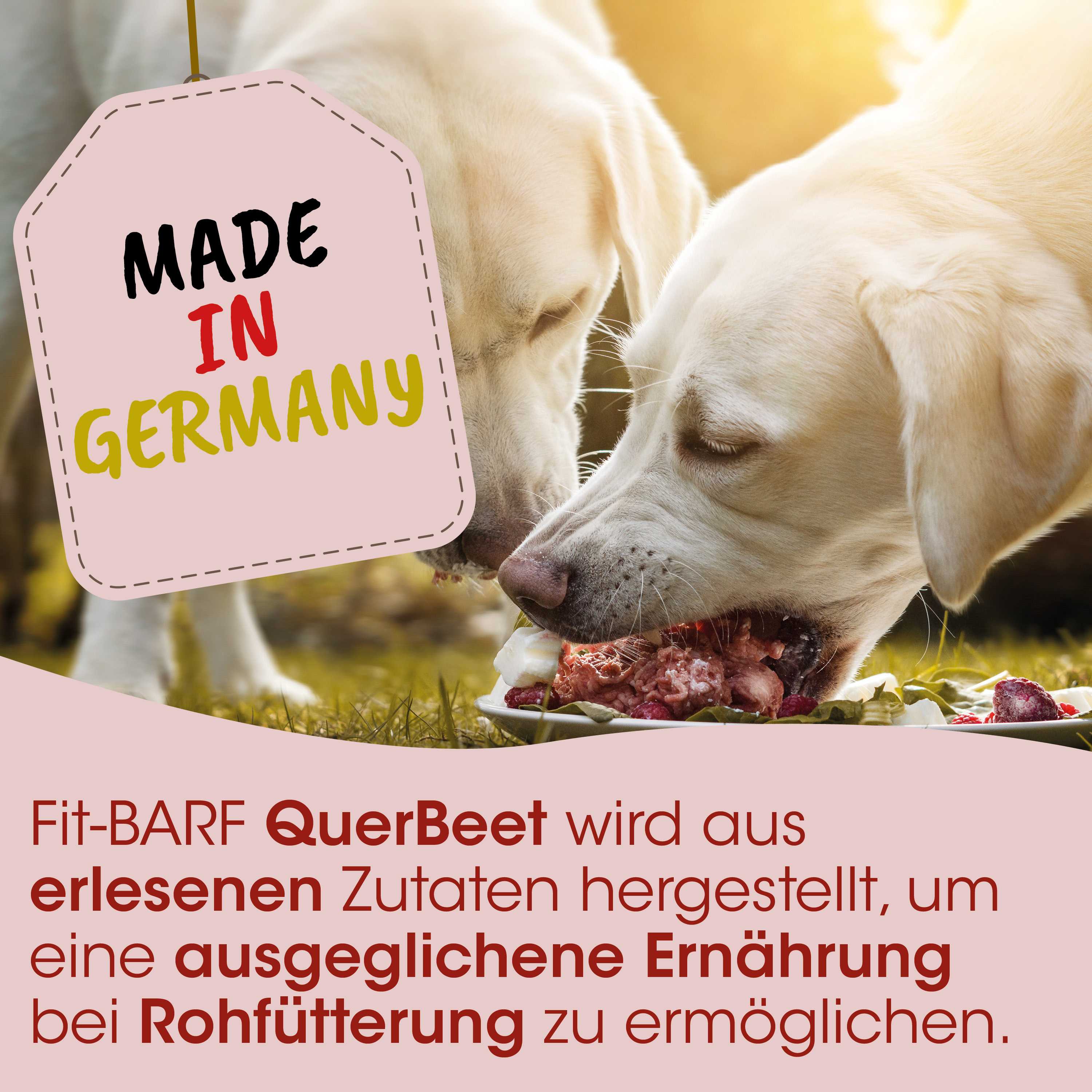 Hundennahrung, Knorpel-Fleisch, Rohkost, Draußen, Made in Germany
