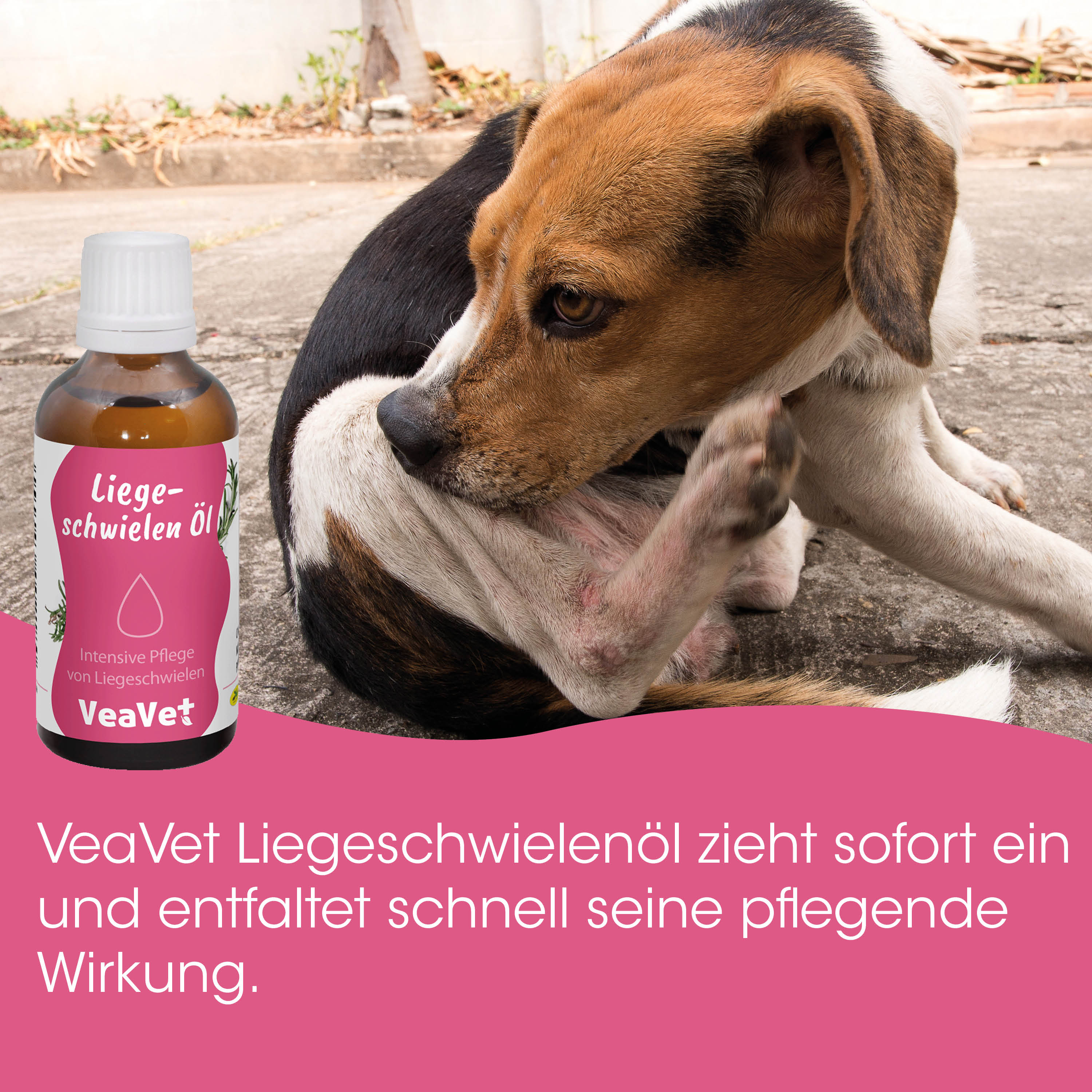 Hund, Pflegeöl, Hundeband, Tiergesundheit, Pflegeprodukt