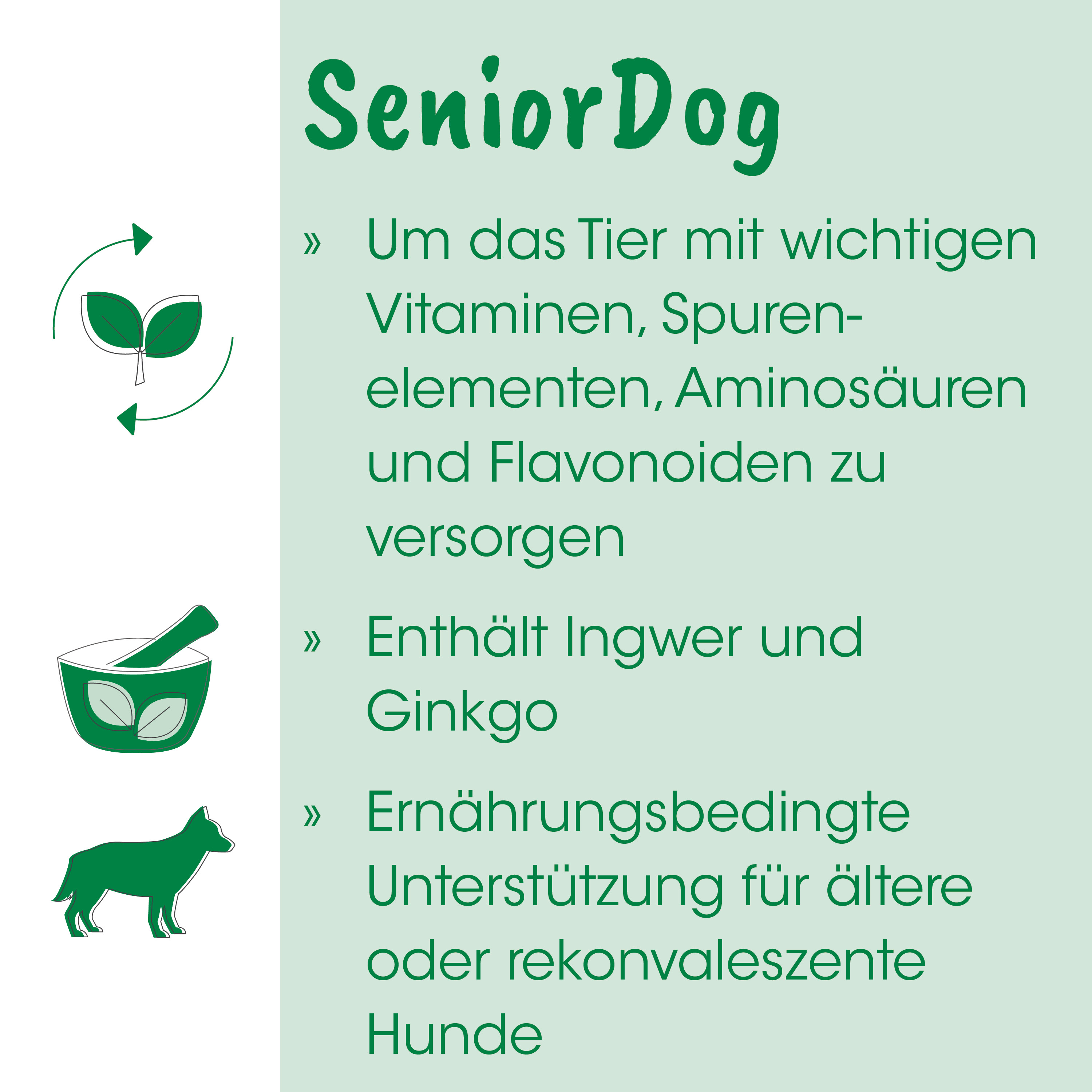 Hundefutter, Schüssel, Grüne, Geschmack, Nahrung