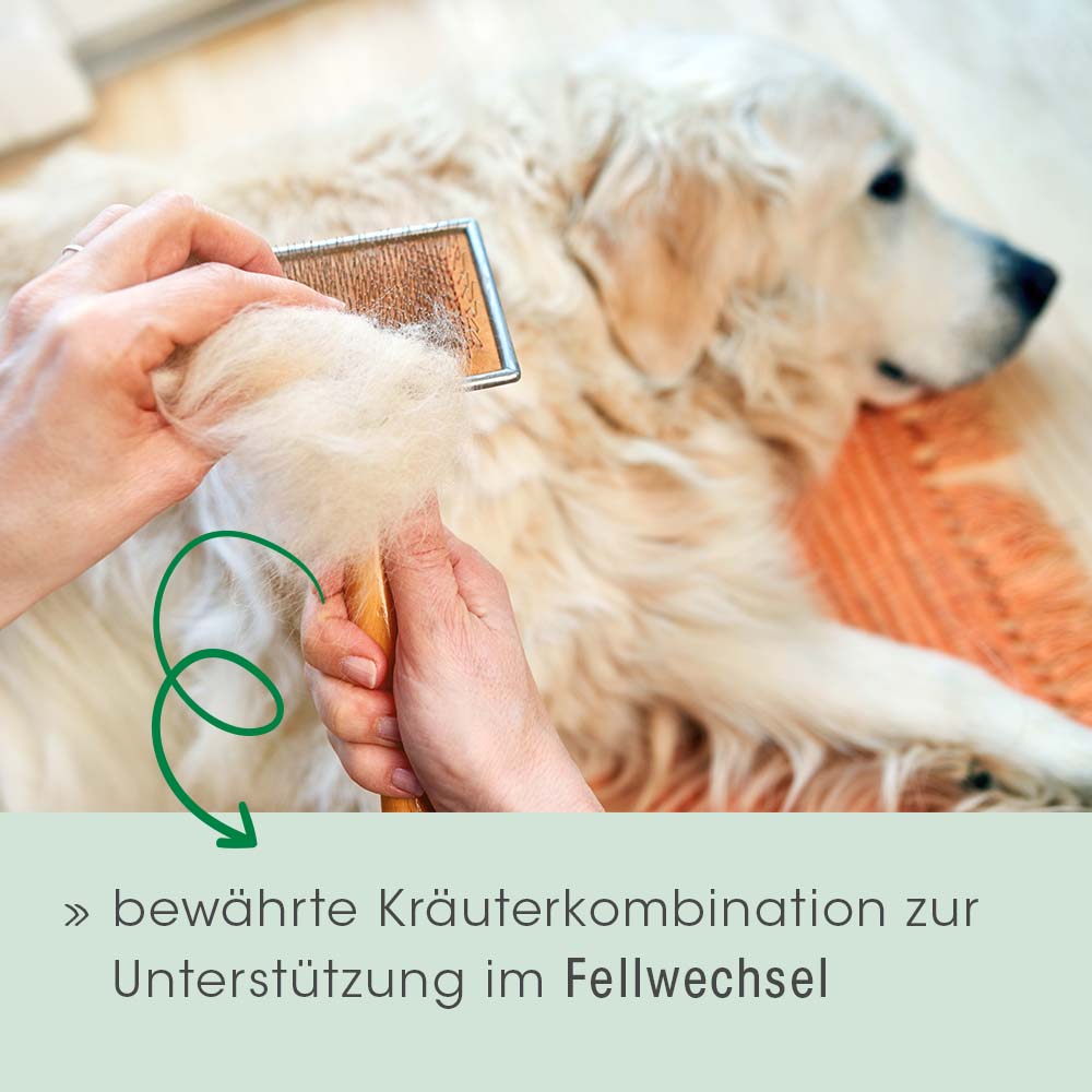 Fell & Haut Vital Hund & Katze 750 g