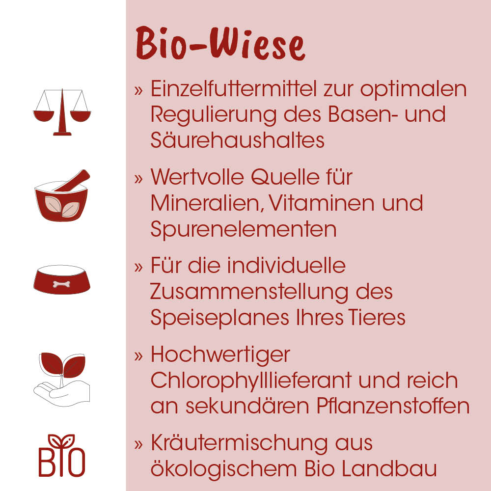 Bio, Tierfutter, Vegetarisch, Bio-Landbau, Pflanzenstoffe