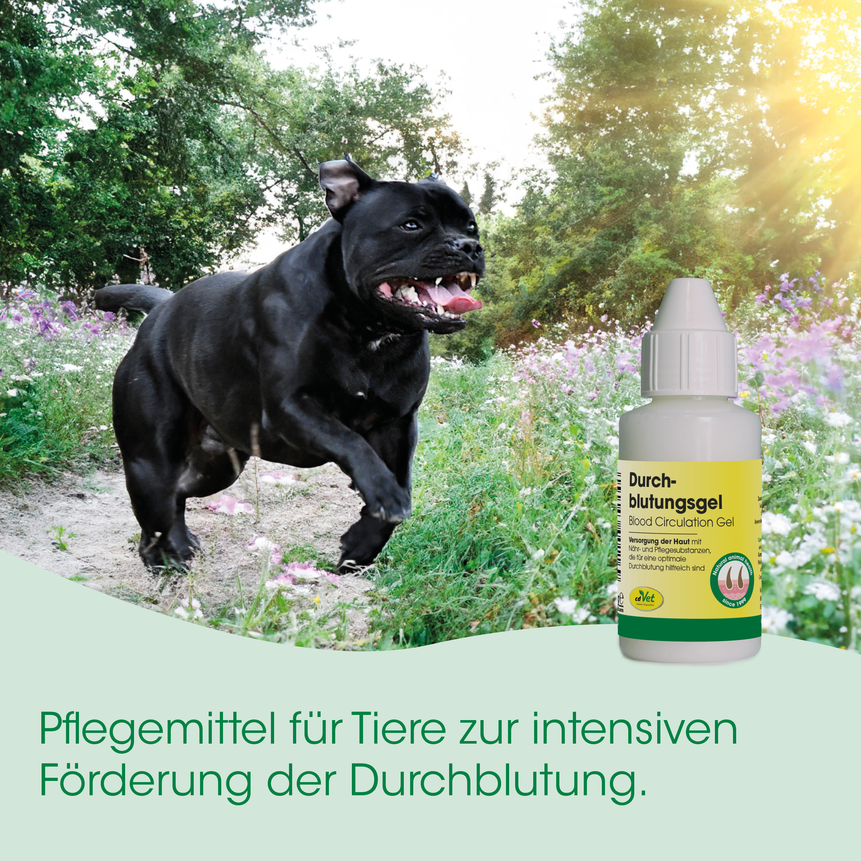 Hund, Schwarzer Hund, Tiermedizinisches Produkt, Durchblutungsgel, Flasche mit Abdruck