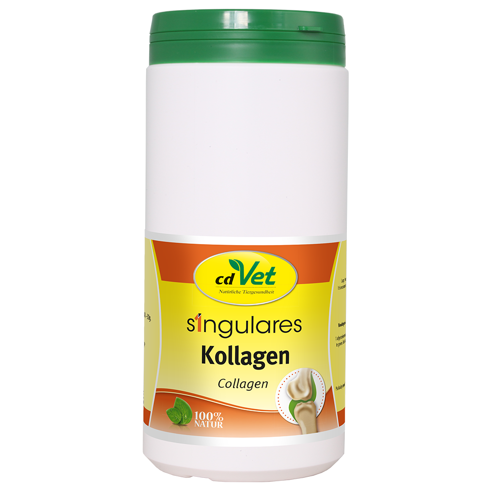 Kollagen, Hundepflege, Nahrungsergänzung, Tiergesundheit, Naturprodukt