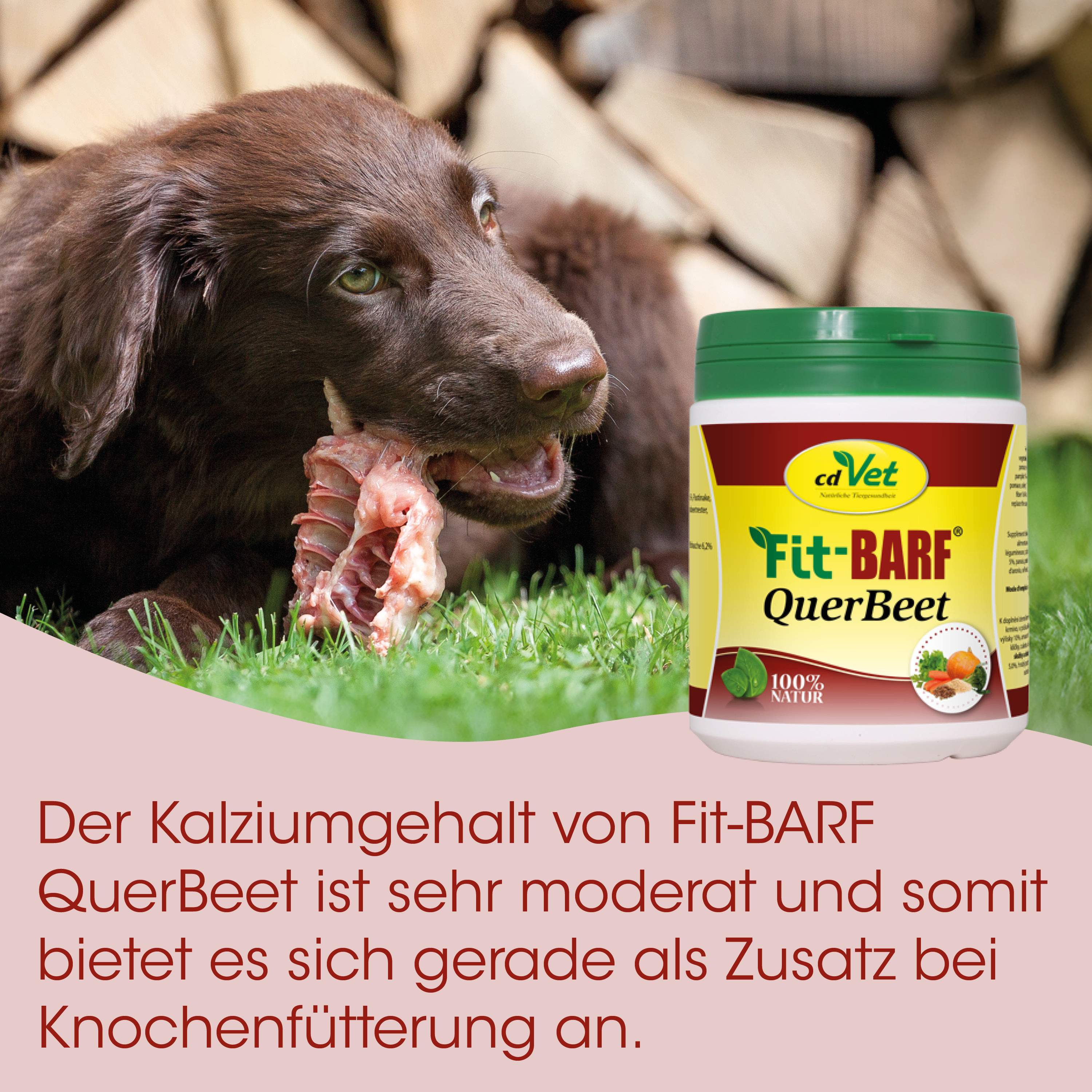 Hund, Kaufleisch, Knuspriges Fleisch, Tiernahrung, Futterdosen