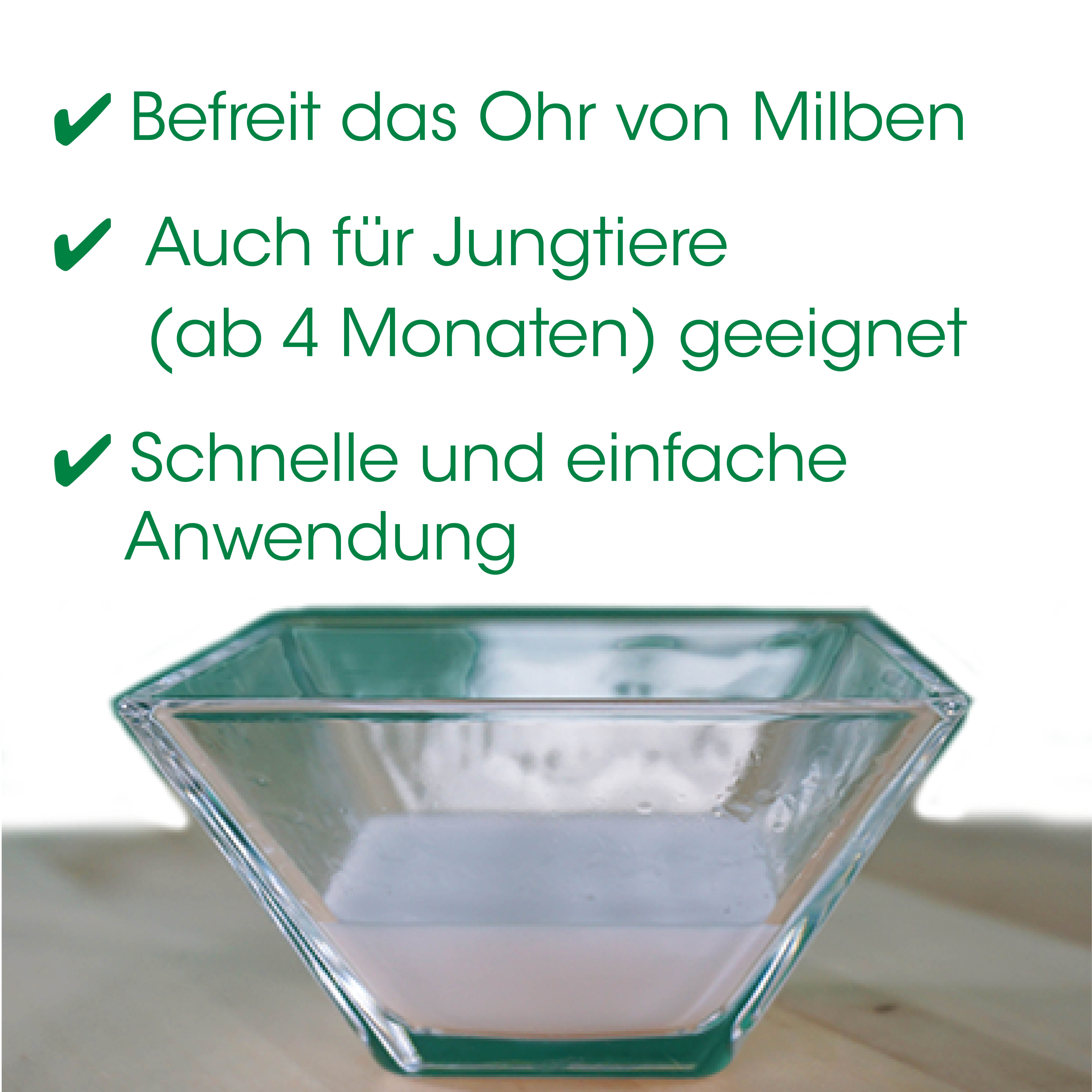 glas, schale, transparent, quadratisch, dessertschale, glasgefäß, schüssel, transparent, quaderförmig, spiegelglas