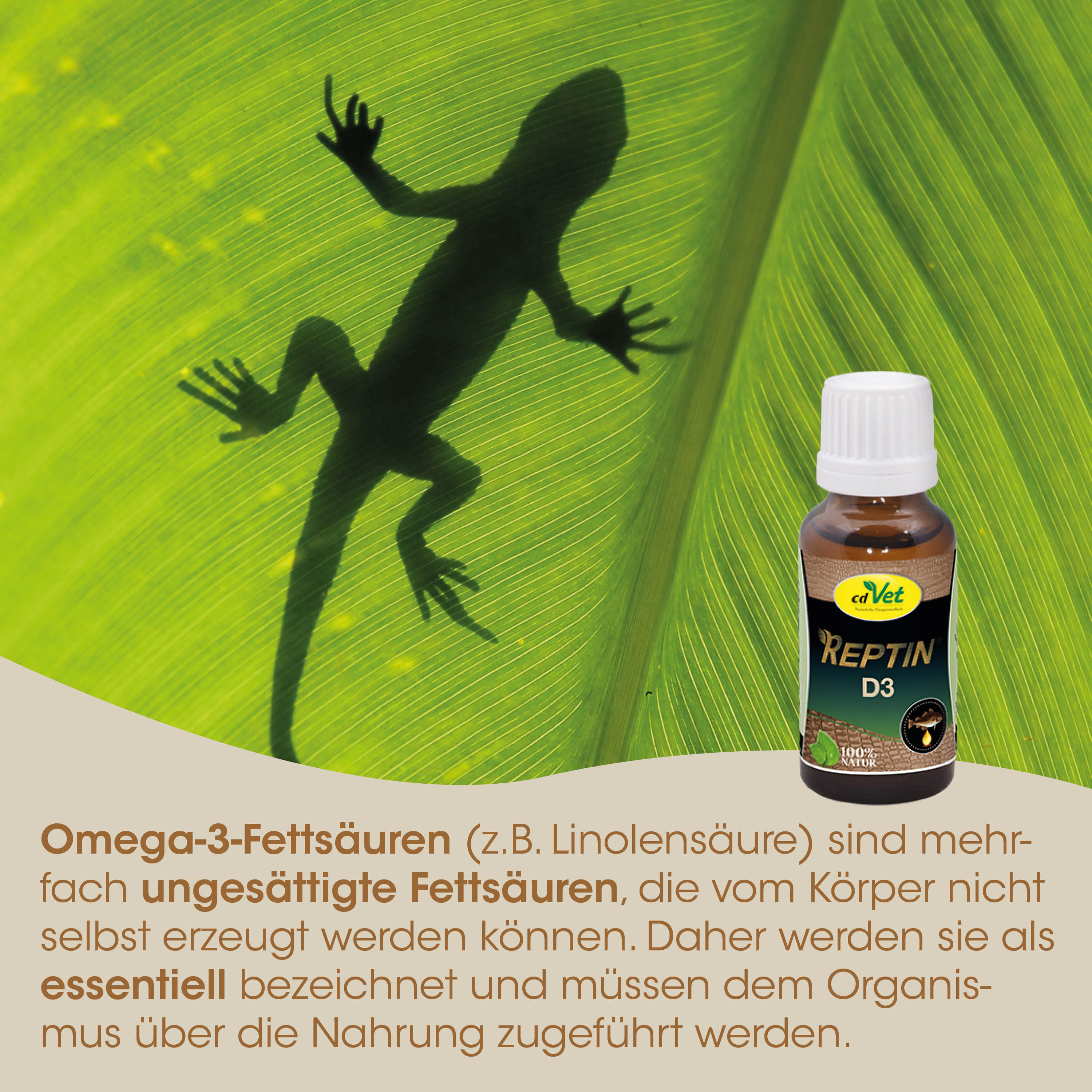 Gecko, Reptile, Futterzusatz, Lösung, Tinktur