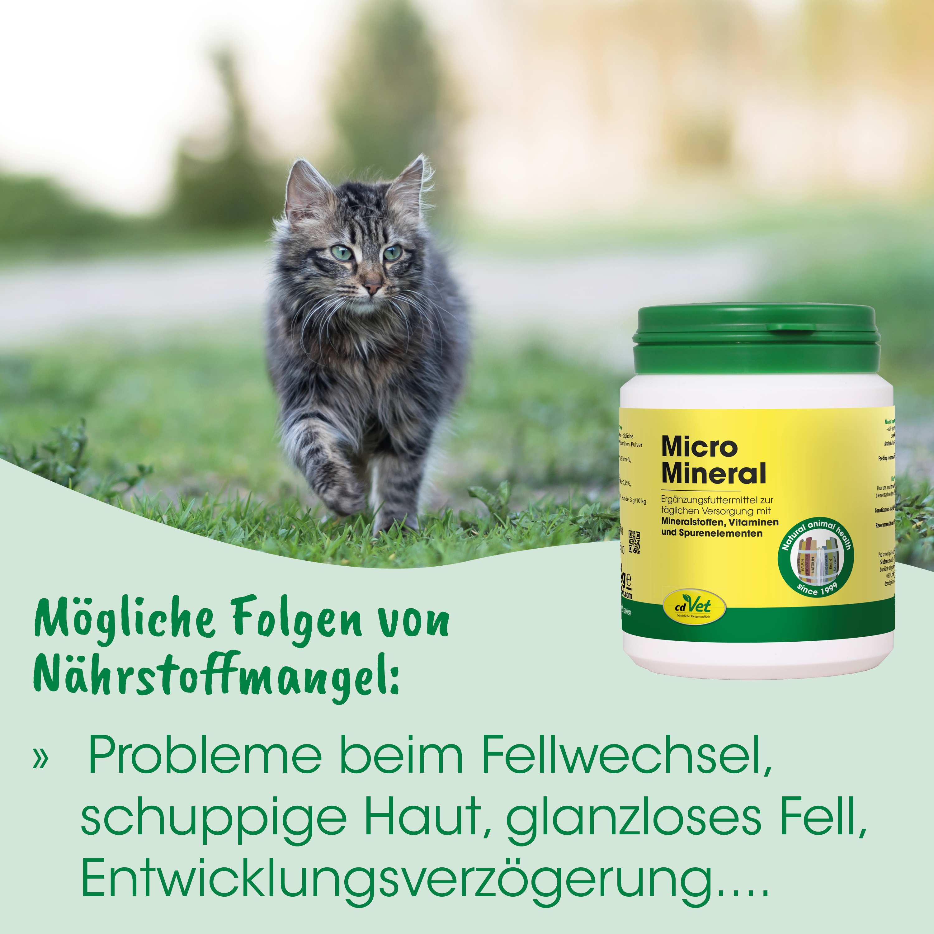 Katze, Katzenfutter, Nahrungsergänzung, Mineralstoff, Grasgrün