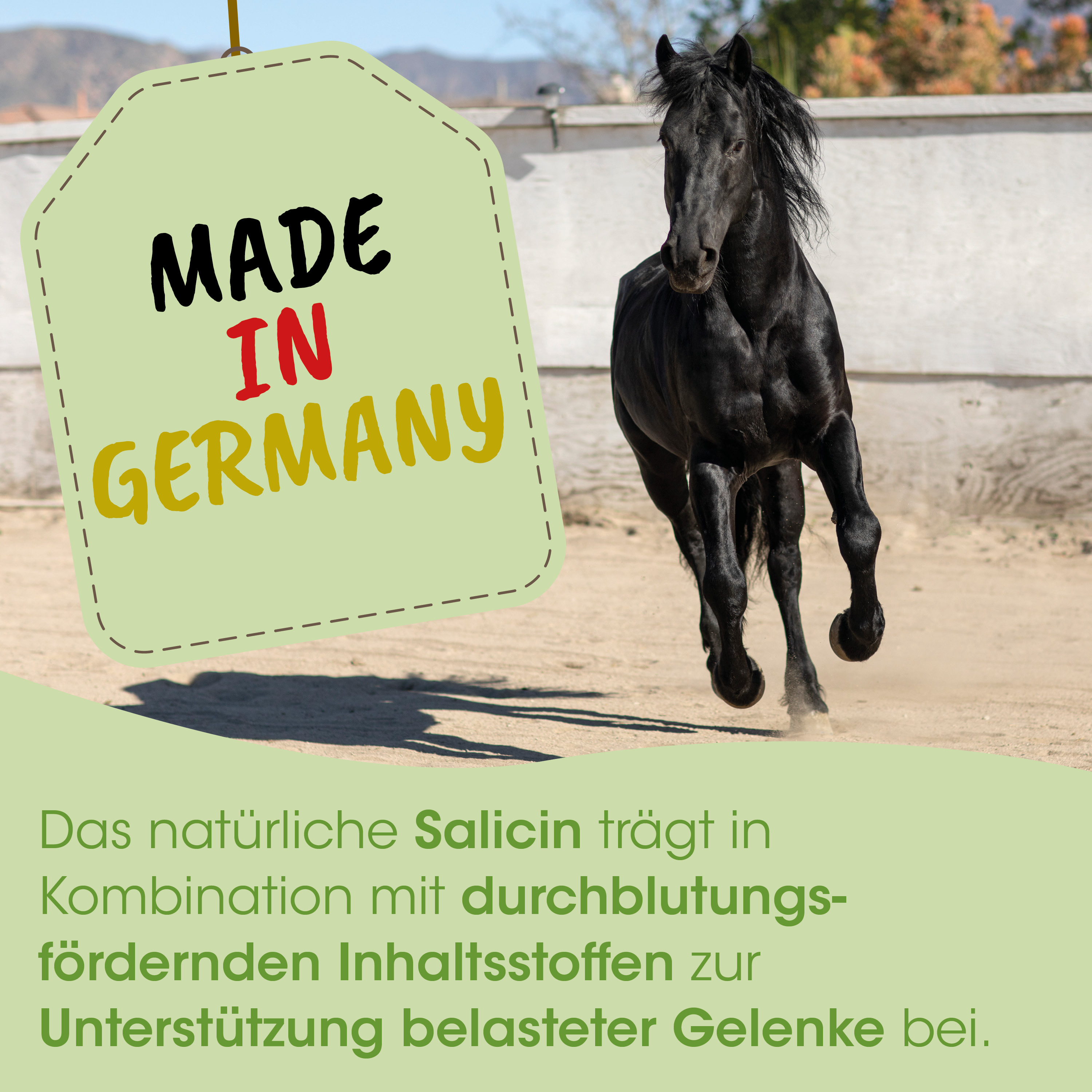Pferd, Schwarze Fellfarbe, Pferdrennen-/Galopp-, Hufe, Bewegung