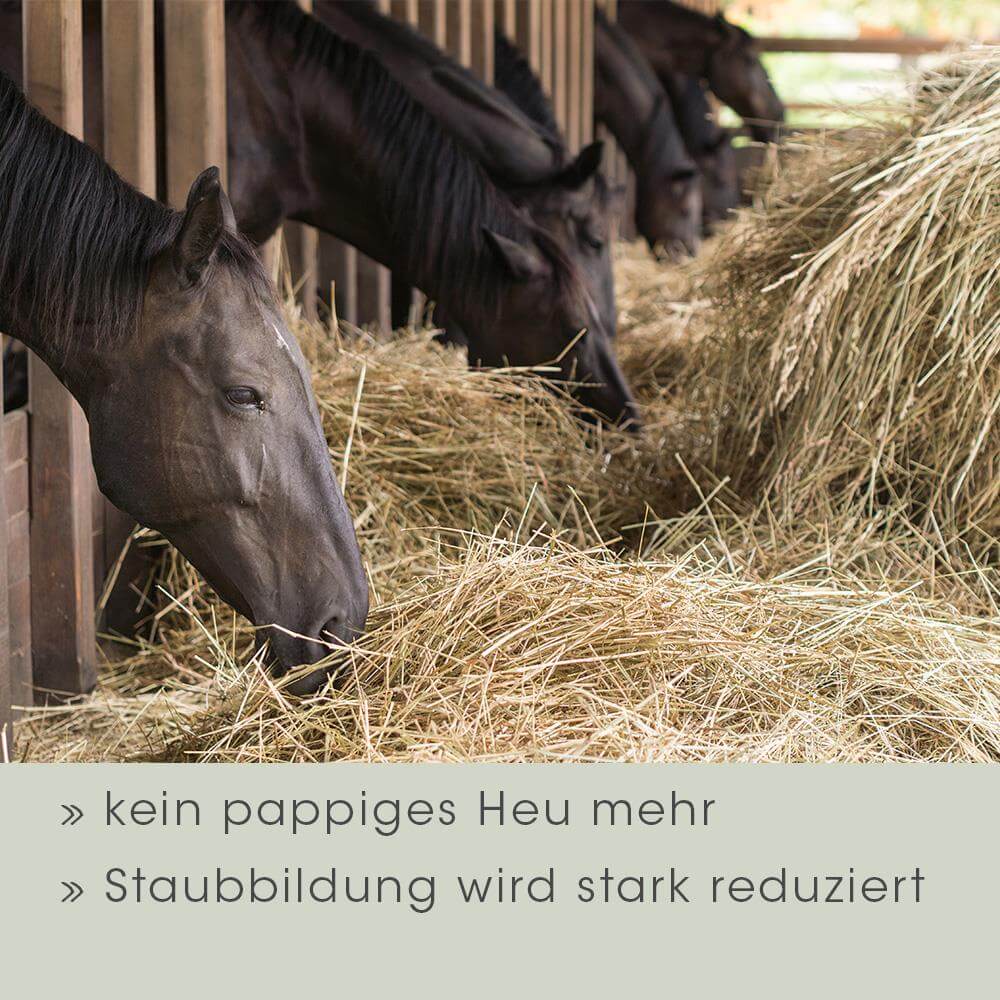 Pferd, Stroh, Weide, Fütterung, Herde