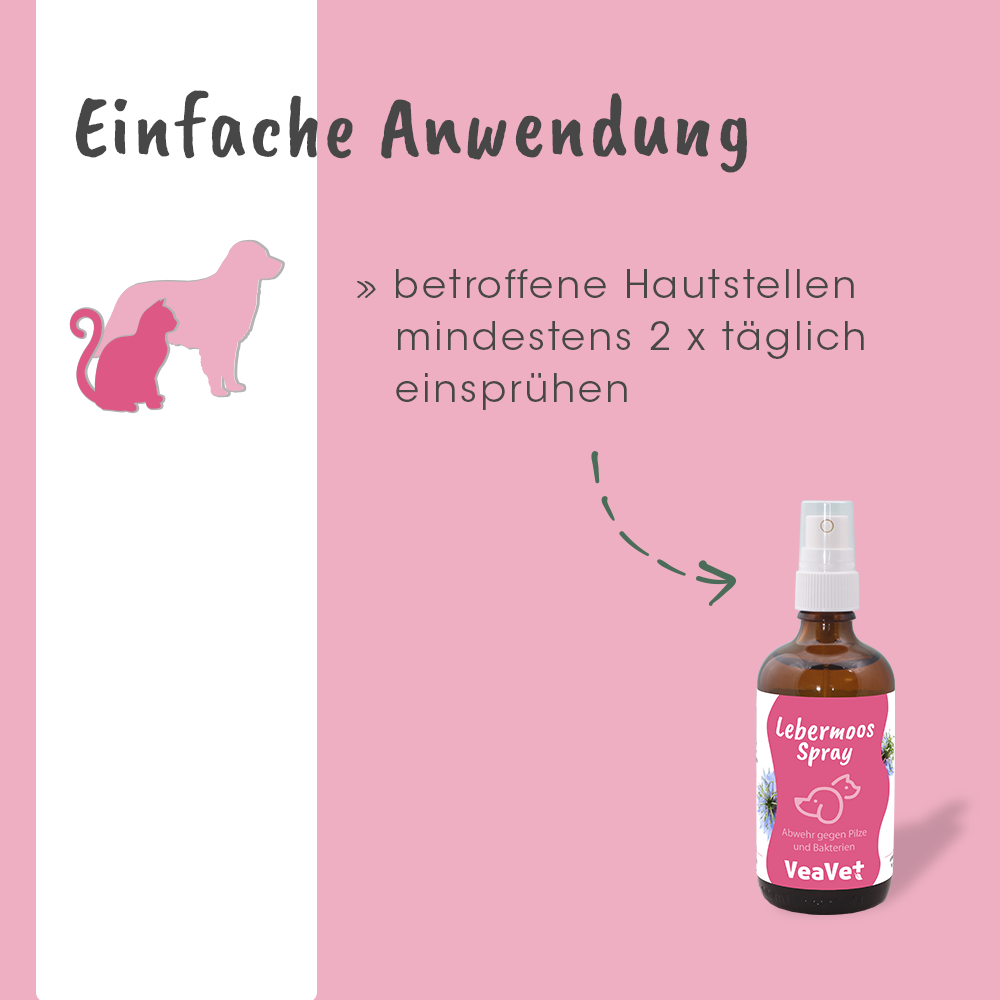 Tierarzt, Hund, Hundenspray, Pet Spray, Lebermoos