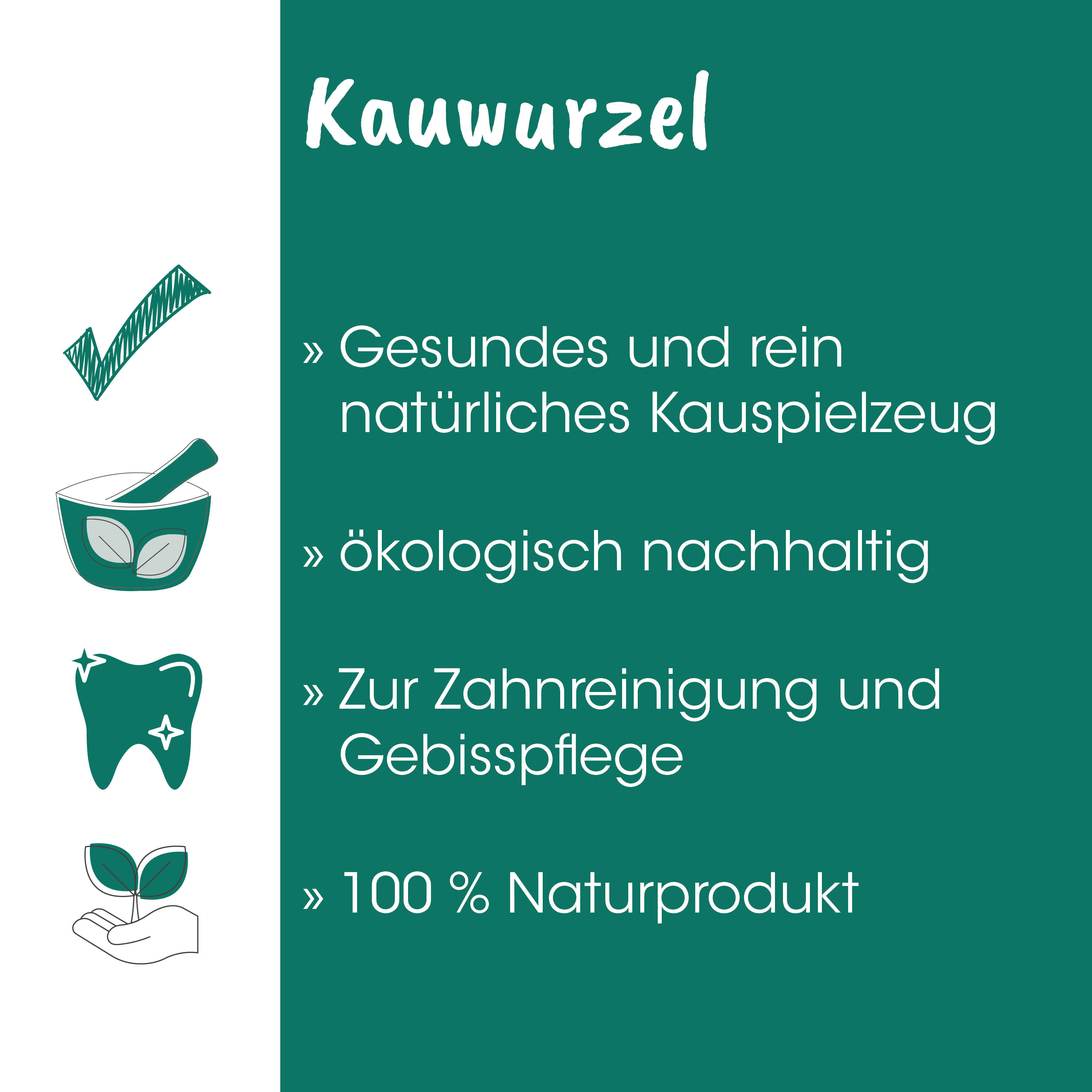 Kauwurzel, natürlich, Kausalprodukt, Dentalpflege, Naturprodukt