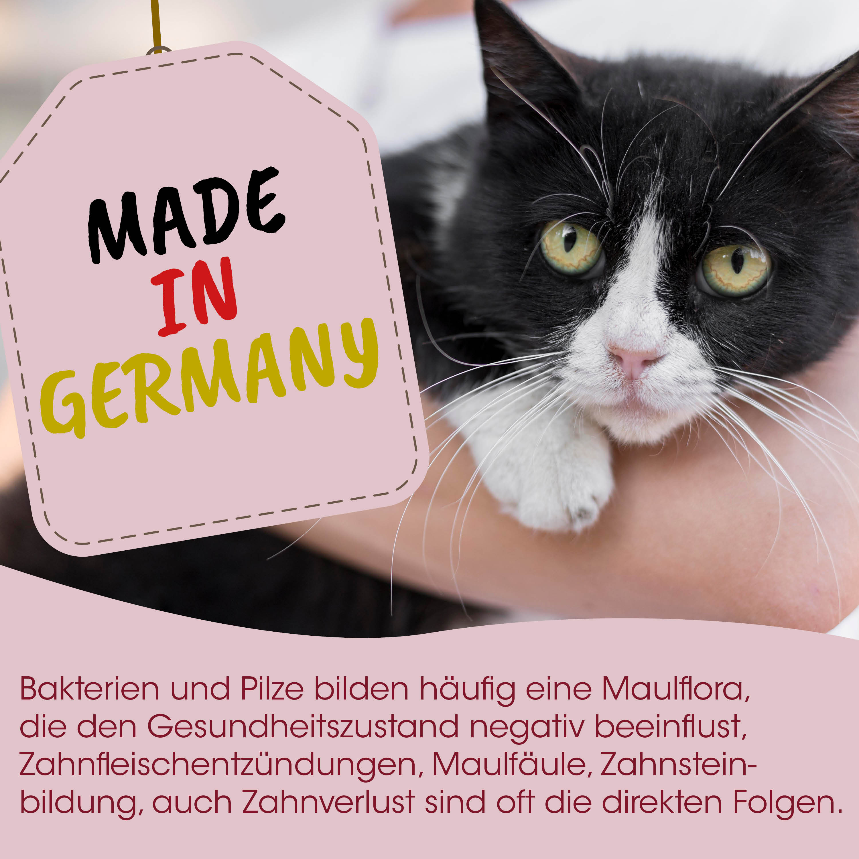 Katze, Schwarz-Weiß, Made in Germany, Haustier, Etikett