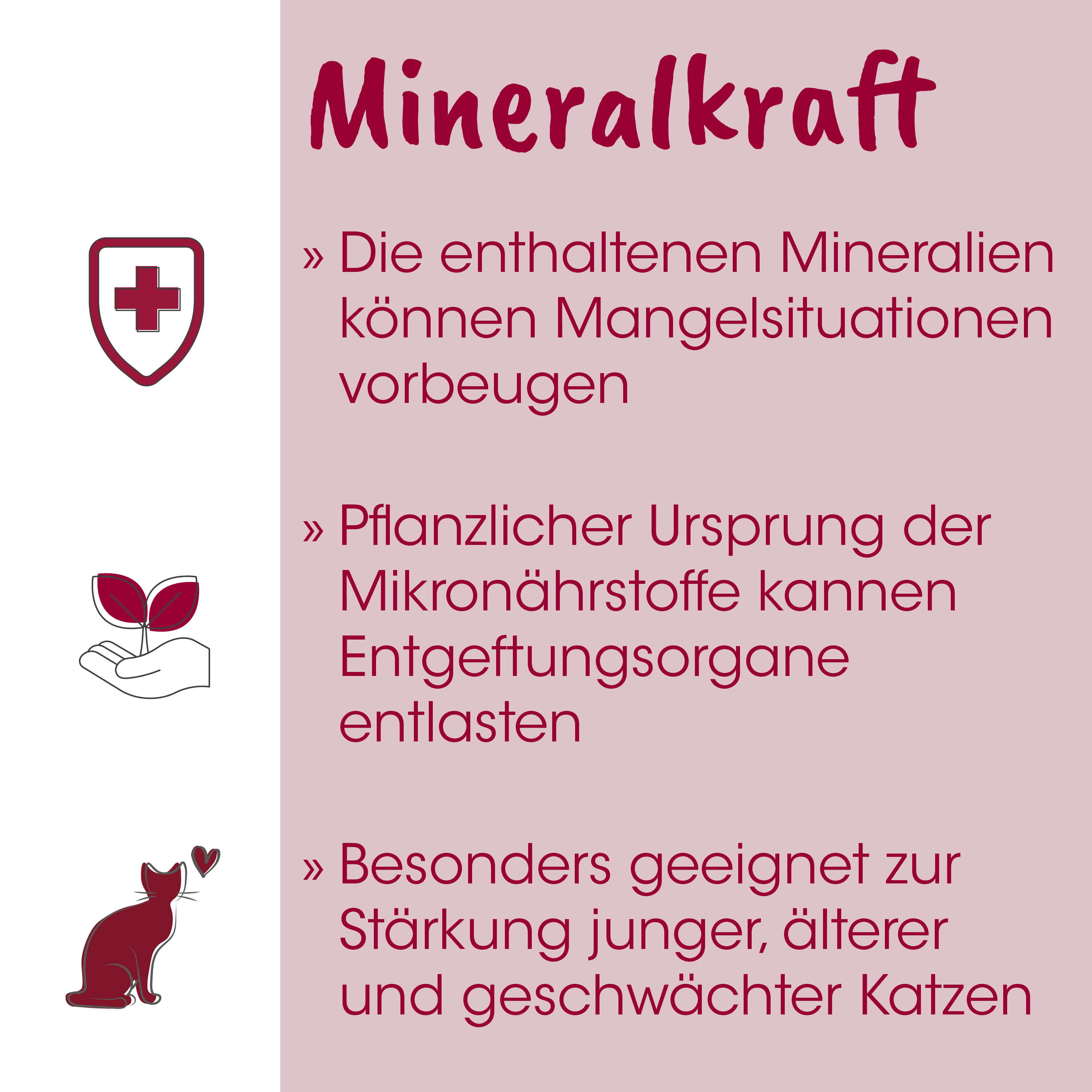 poster, Minera, Kraft, Infografik, Design