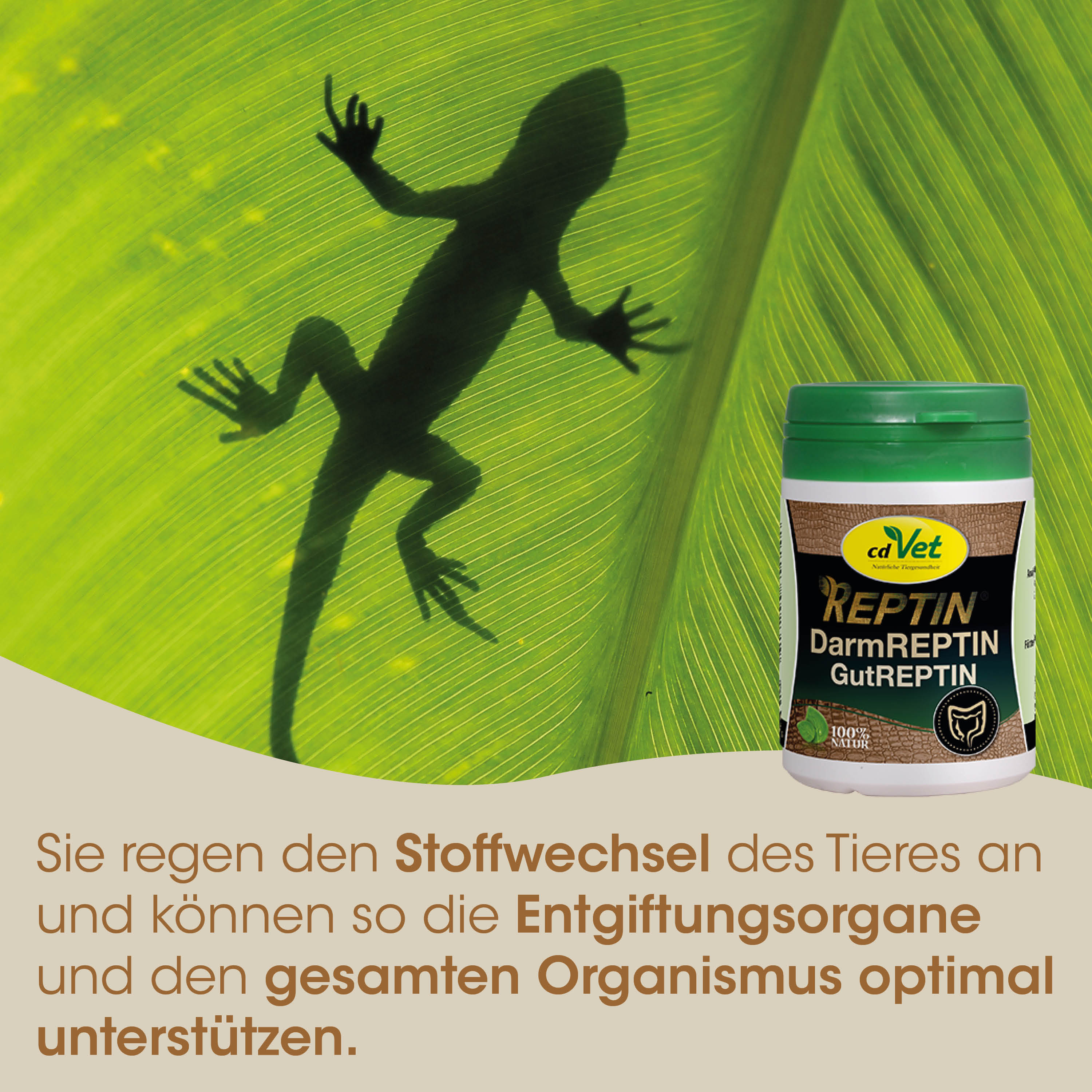 Reptin, Darmreptin, Gutreptin, Tier, Wechsel
