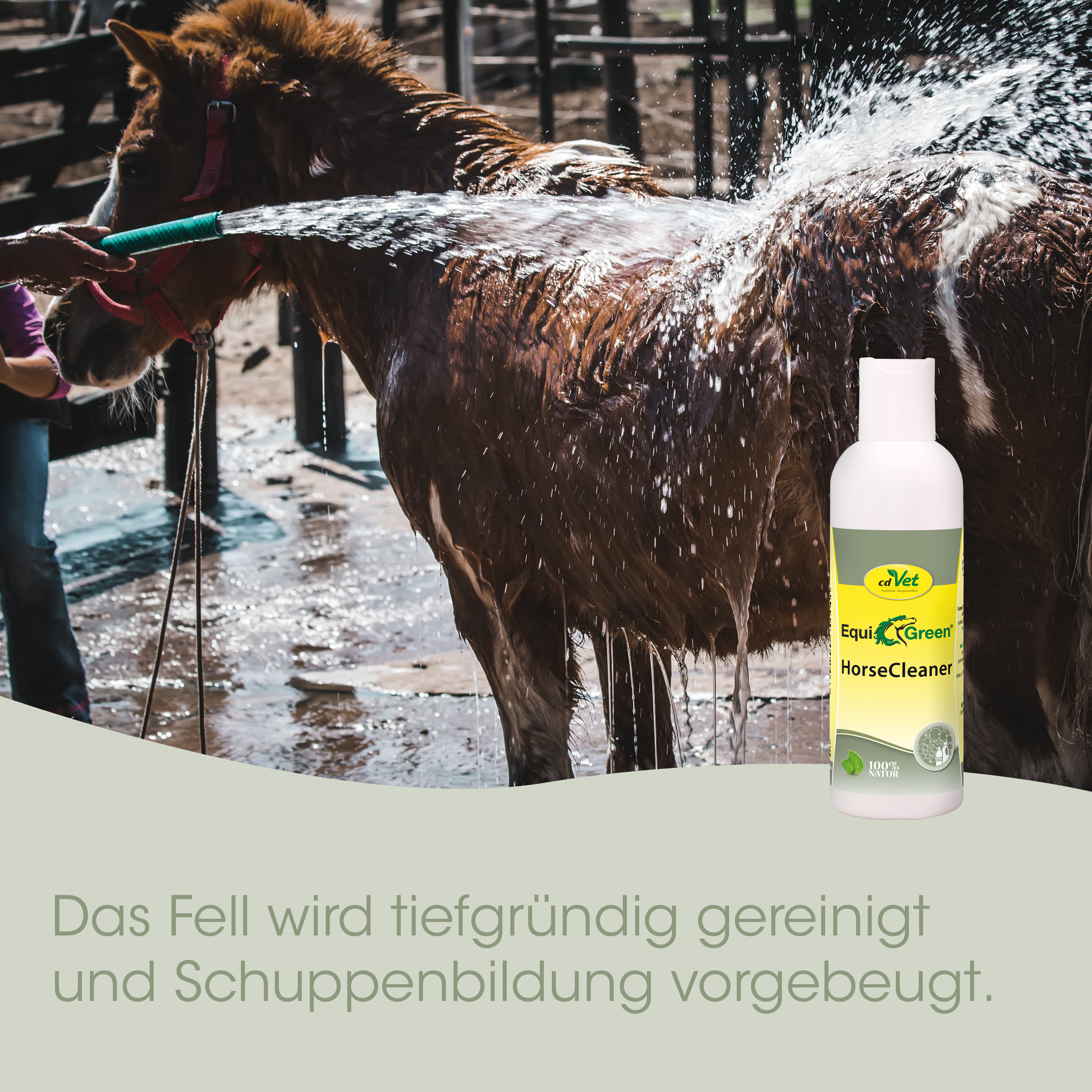 Pferd, Waschstrahl, Hufreiniger, Halter, Flasche