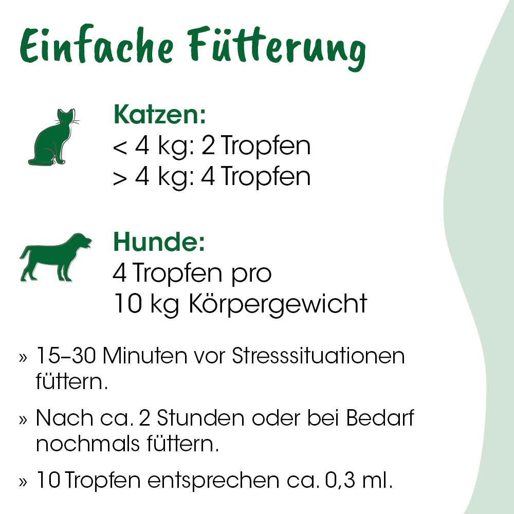 Katzenfutter, Katzen, Futter, Tropfen, Hunde?