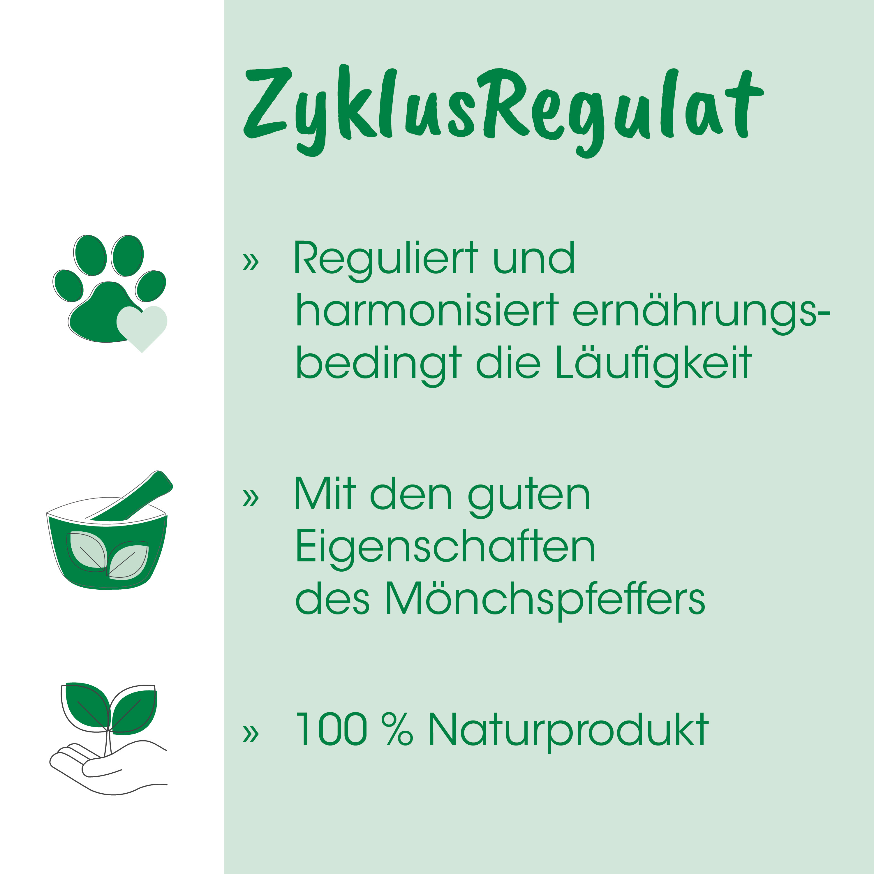 pflanze, naturprodukt, handfläche, grüner ton, mörser und pestle