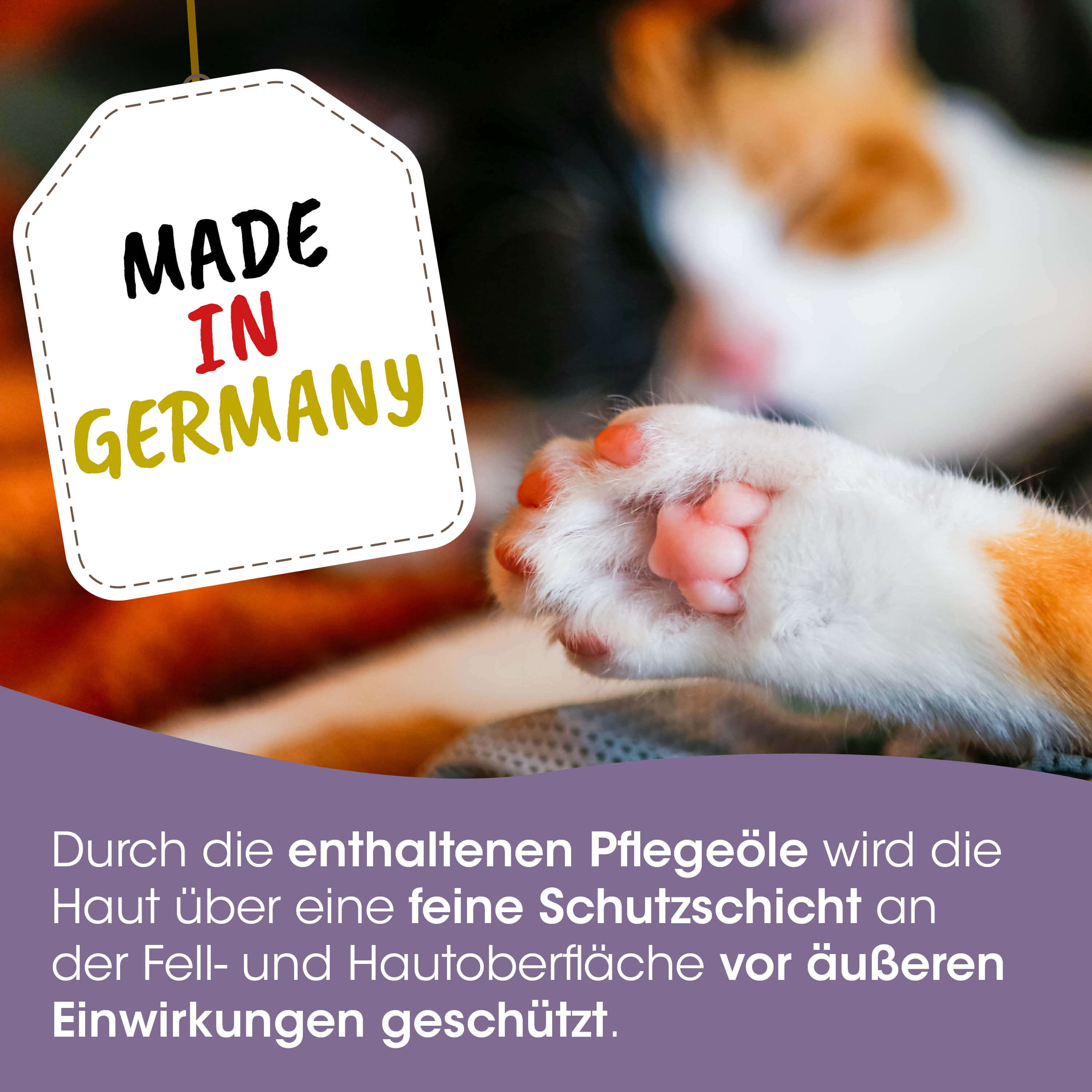 deutsch, hergestellt in deutschland, katzentatze, orangeweiße fellfarbe, haustierpflege etikett