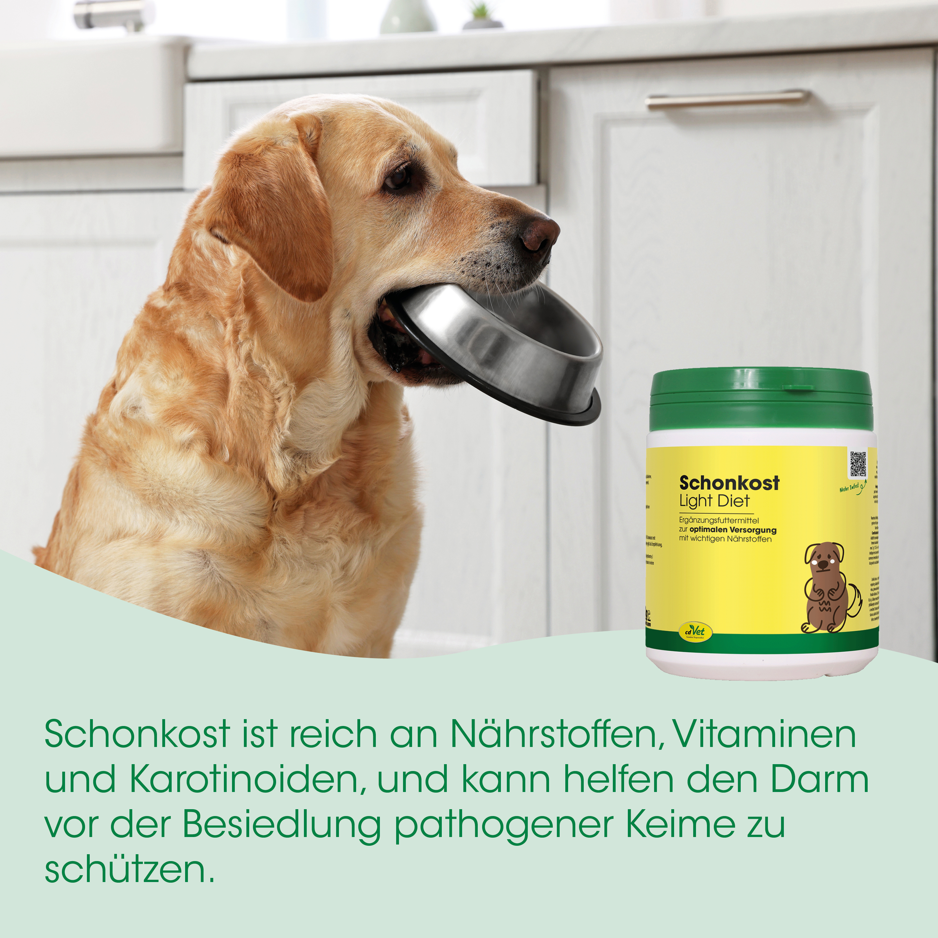 hund, hundefutter, tierprodukt, napf, behälter