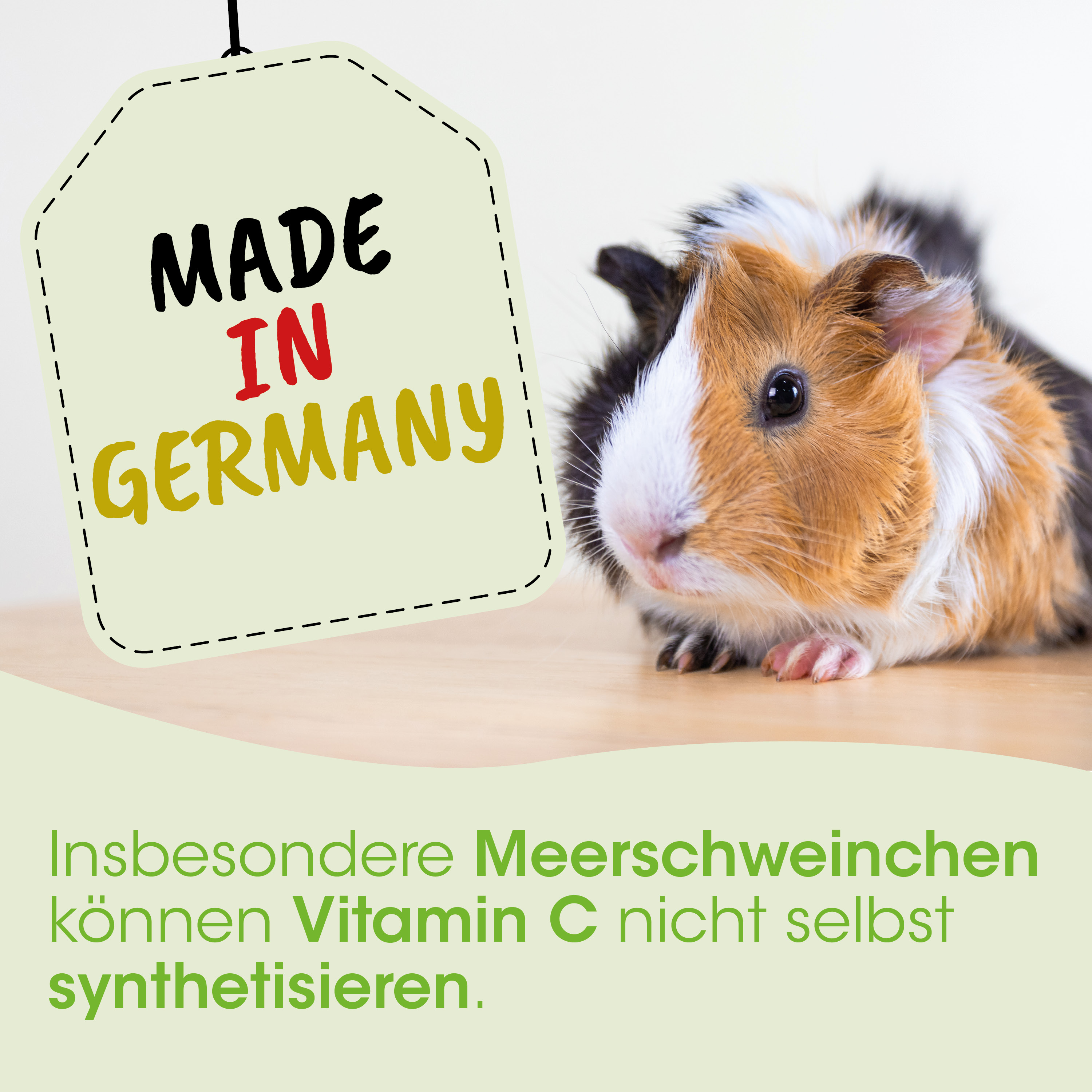 Guineapferd, Hamster, Tier, Vitamin-C, Made in Germany