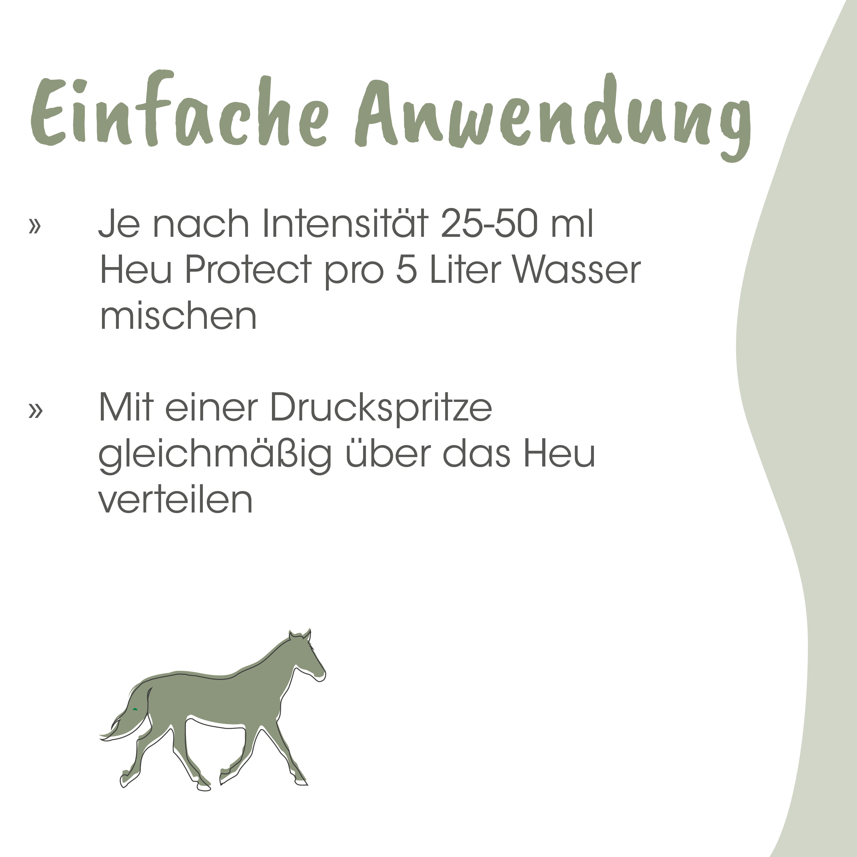 Pferd, Illustration, Grün, Reiter, Grafik
