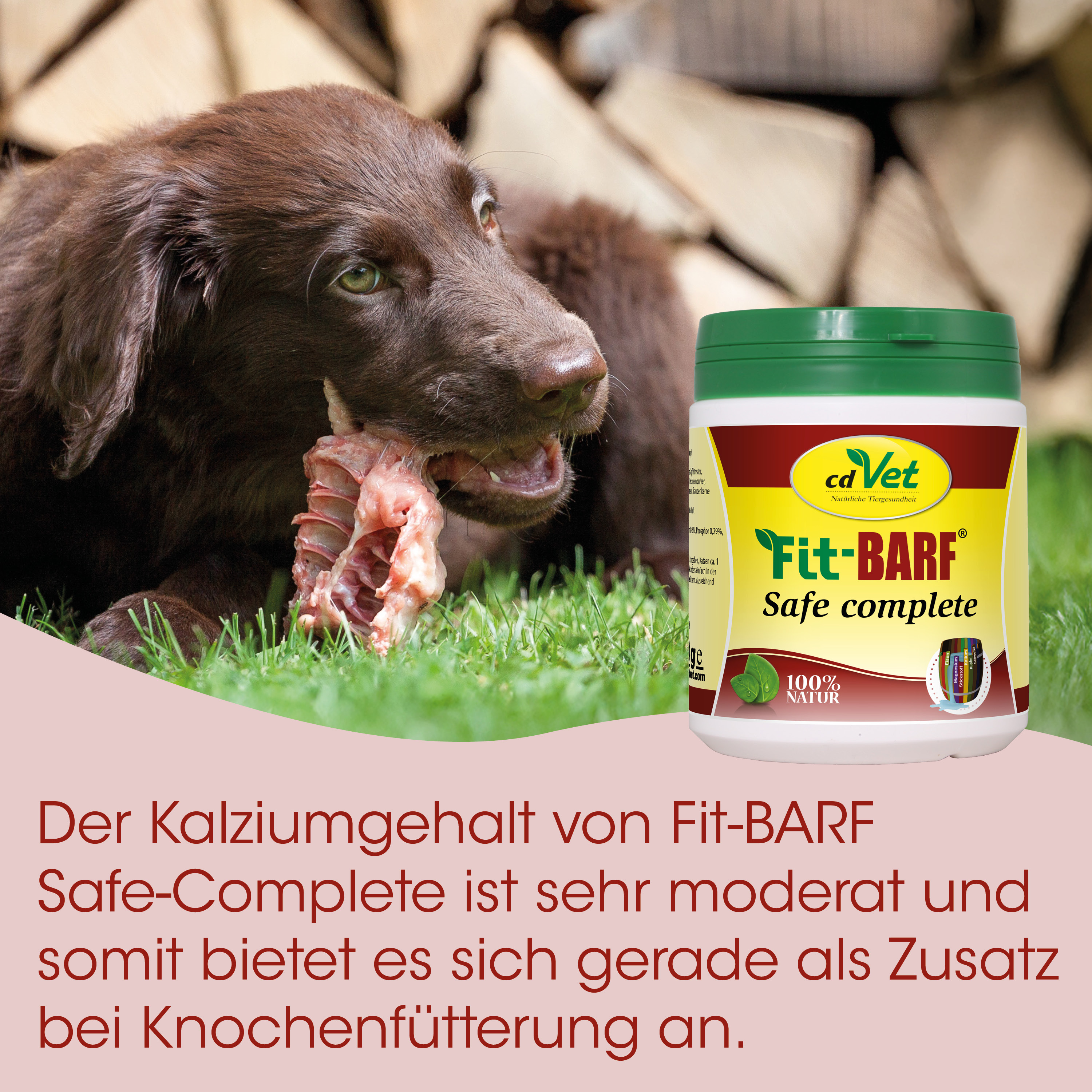 Hund, Kauknochen, Pelze, Gras, Futterzusatz
