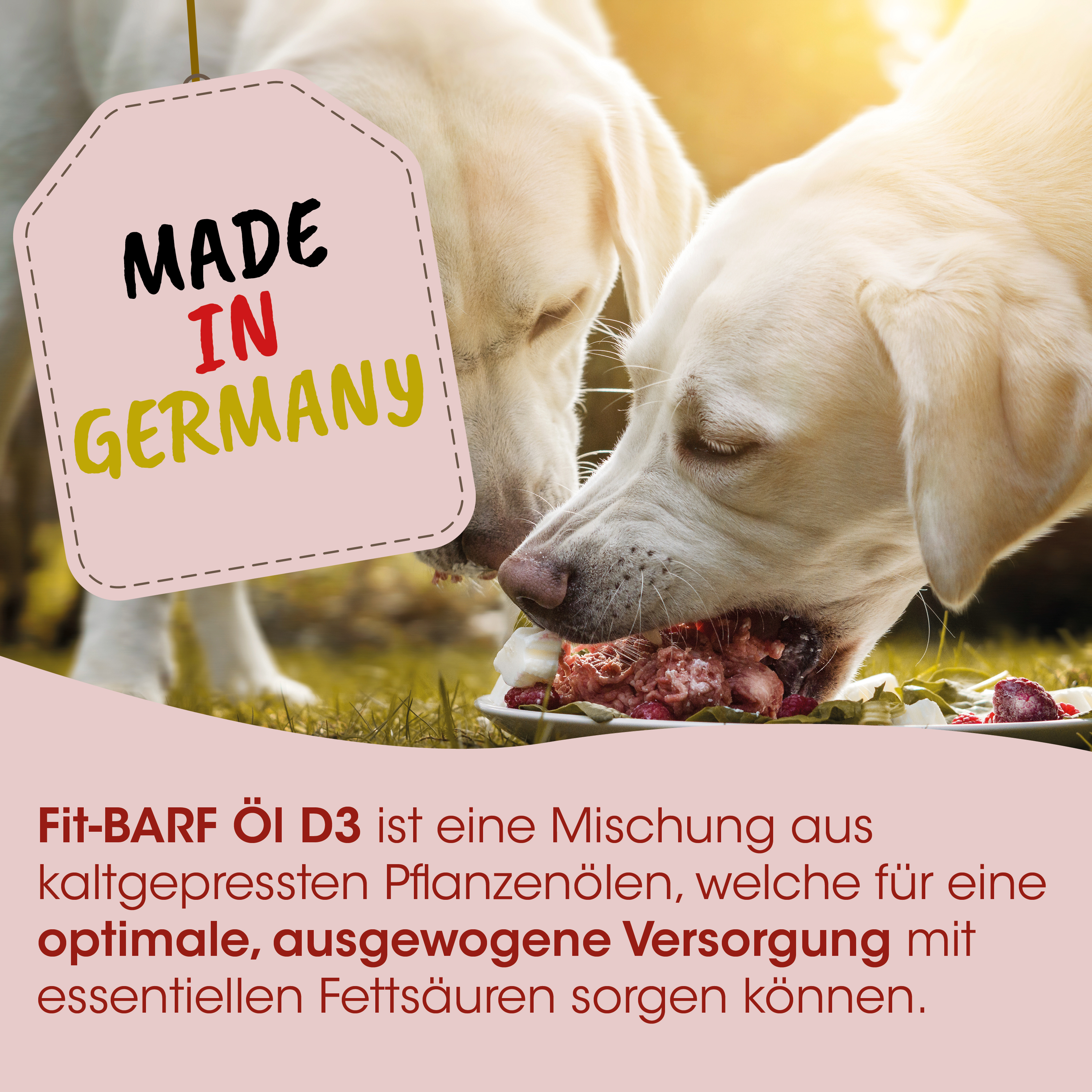 Hund, Futter, Hunde-Leckerli, Kaupfutter, Made in Germany