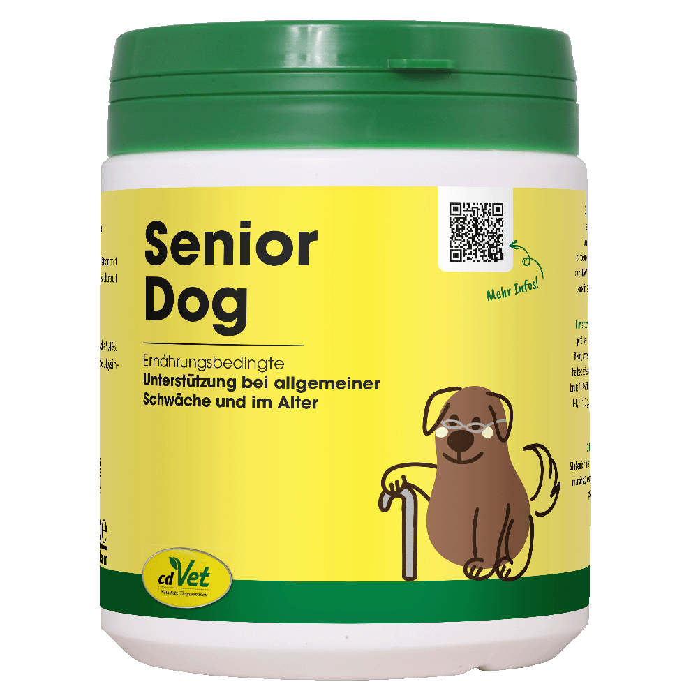 Seniorer Hund, Ernährungsunterstützung, Schwäche im Alter, Hund mit Alterungsprozess, Hundeernährung