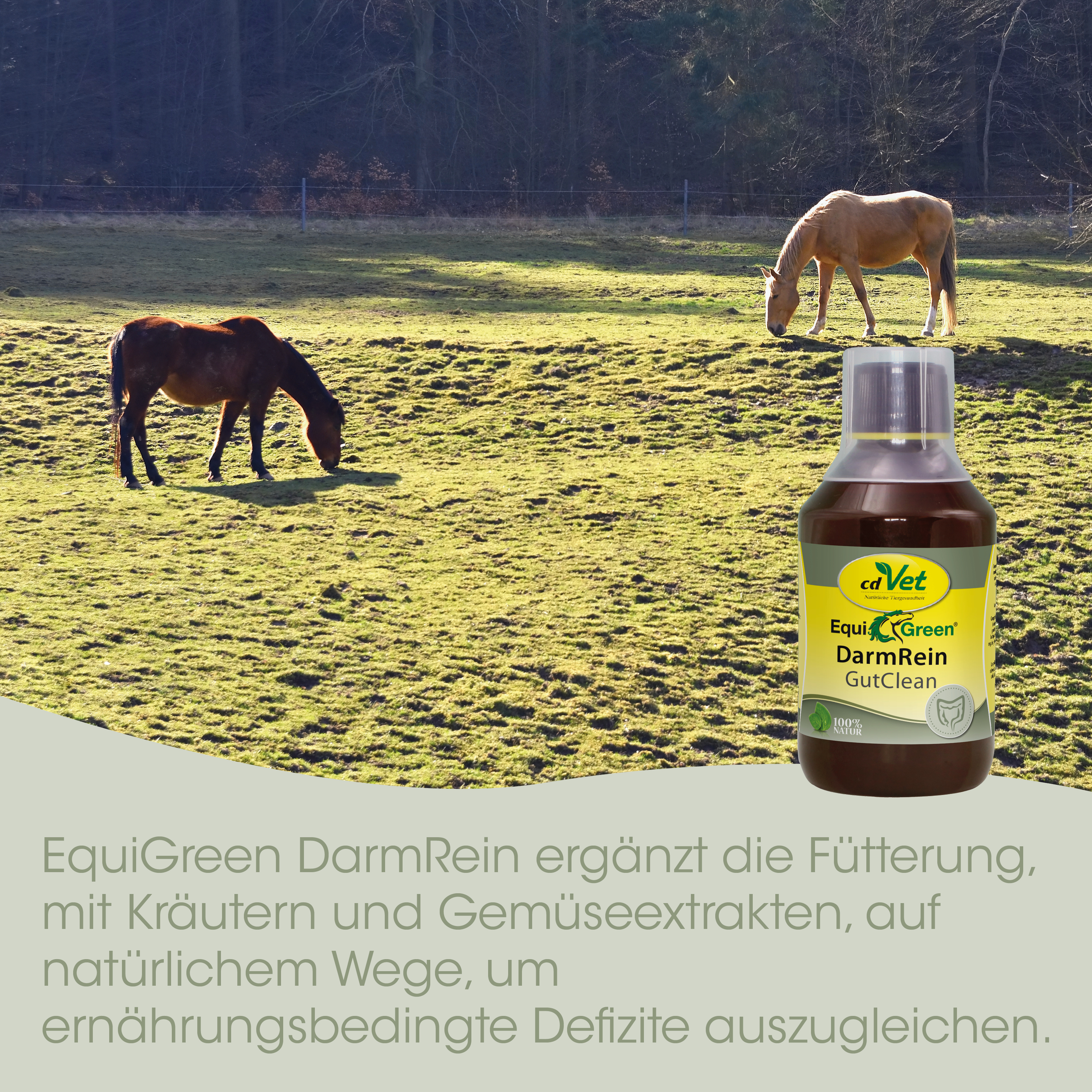 EquiGreen DarmRein Pulver 300 g