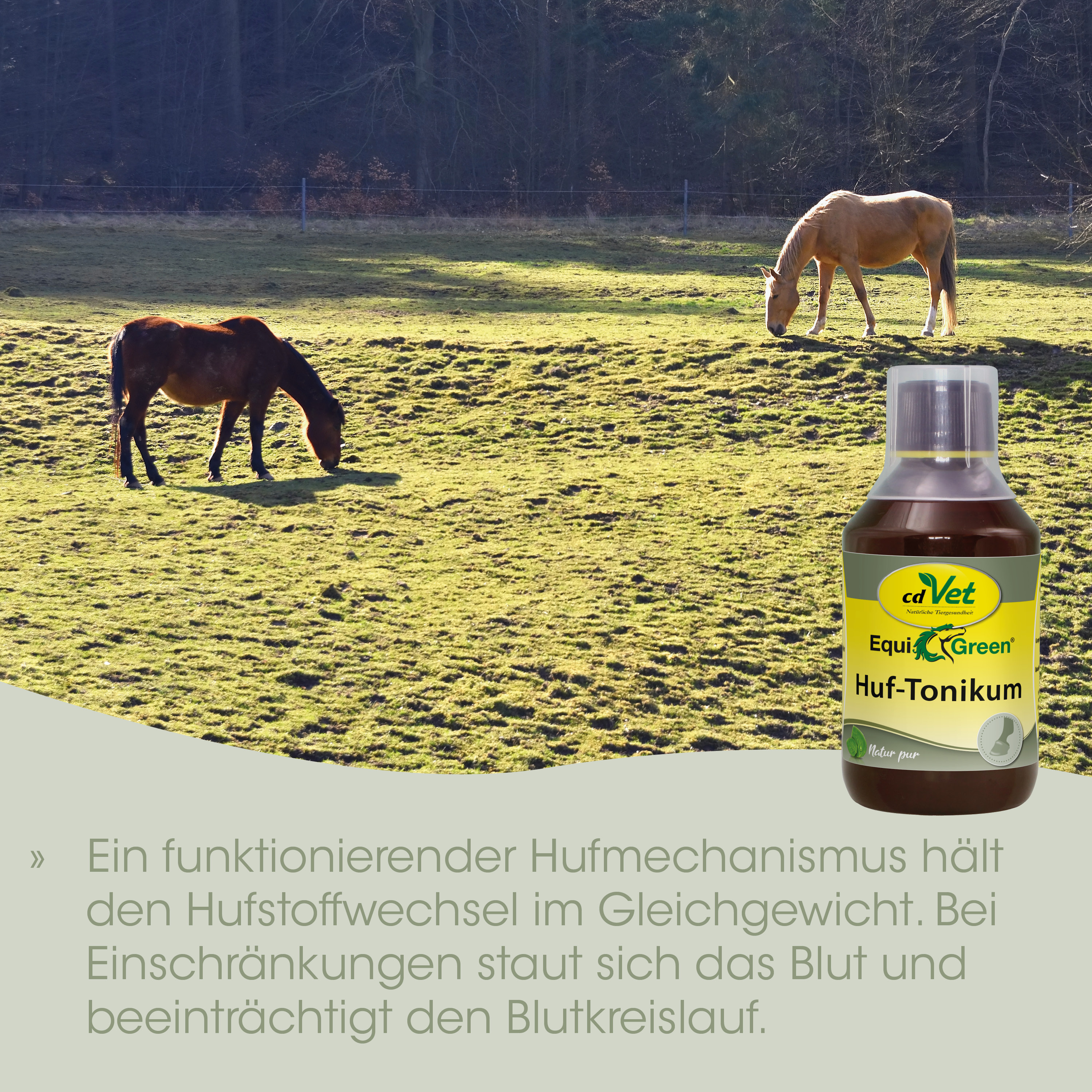Pferd, Weide, Grasen, Flasche, Produkt-Etikett