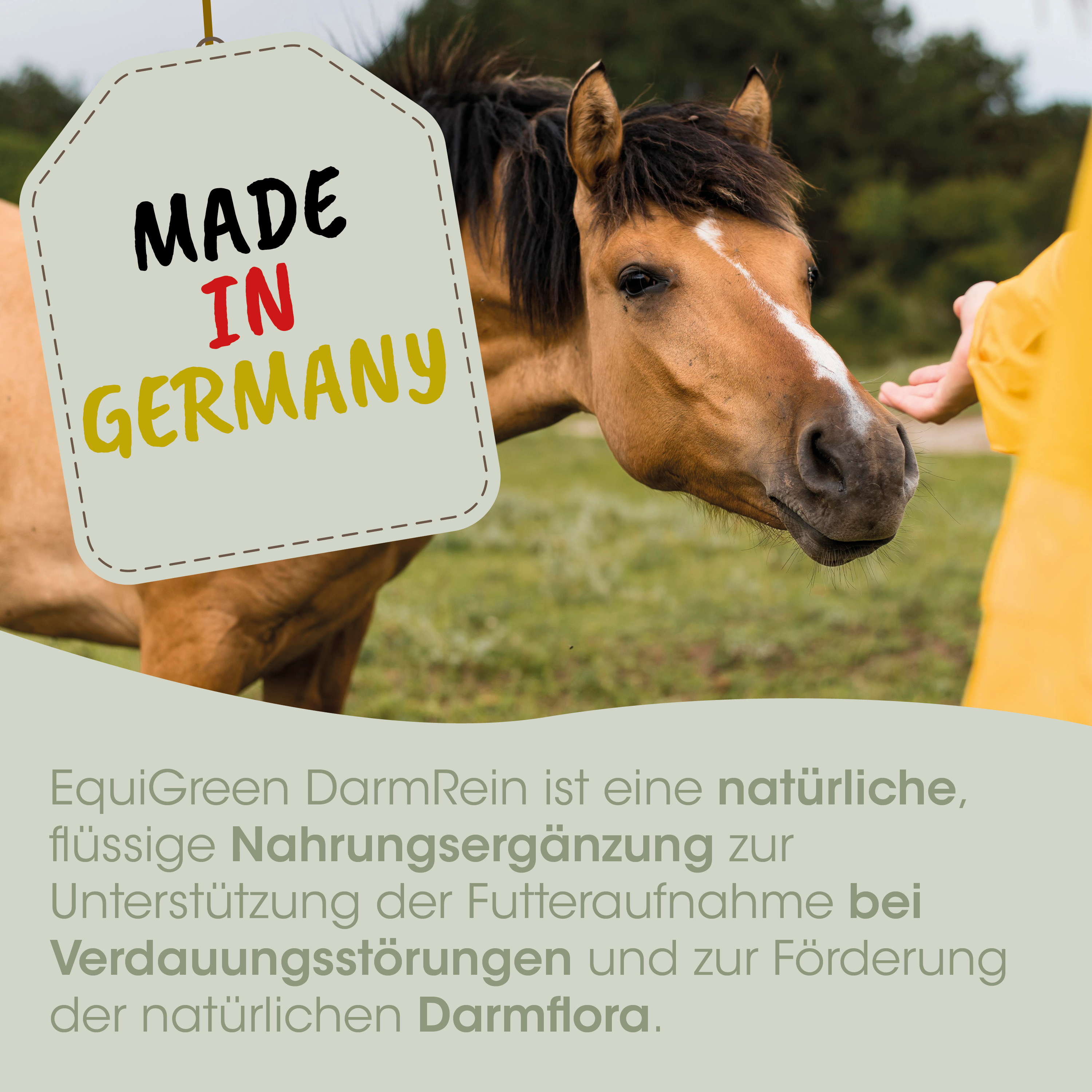 Pferd, Equine, natürliche Ergänzung, Darmflora, Made in Germany