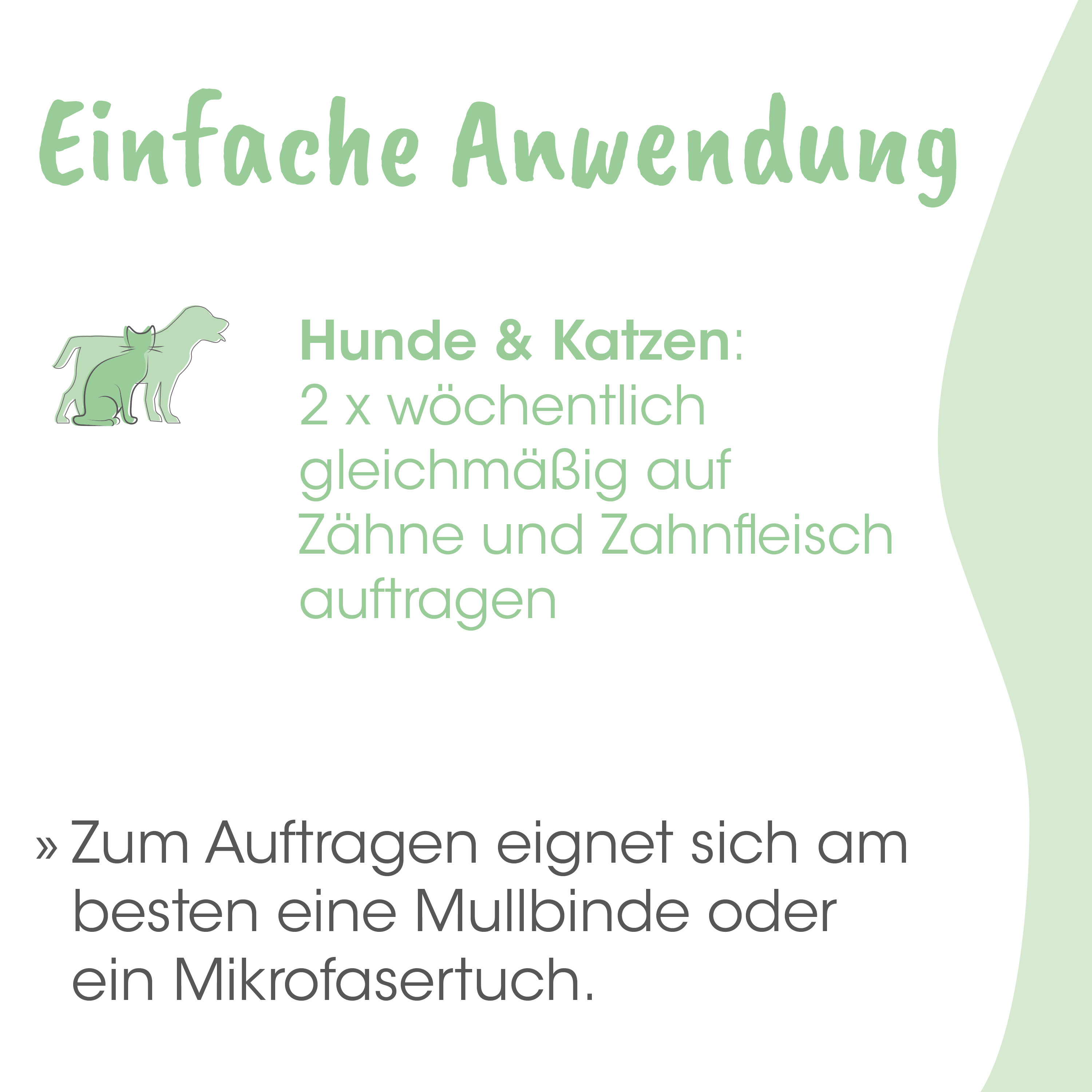 Hund, Katze, Tierarzt, Zahnpflege, Auftrag