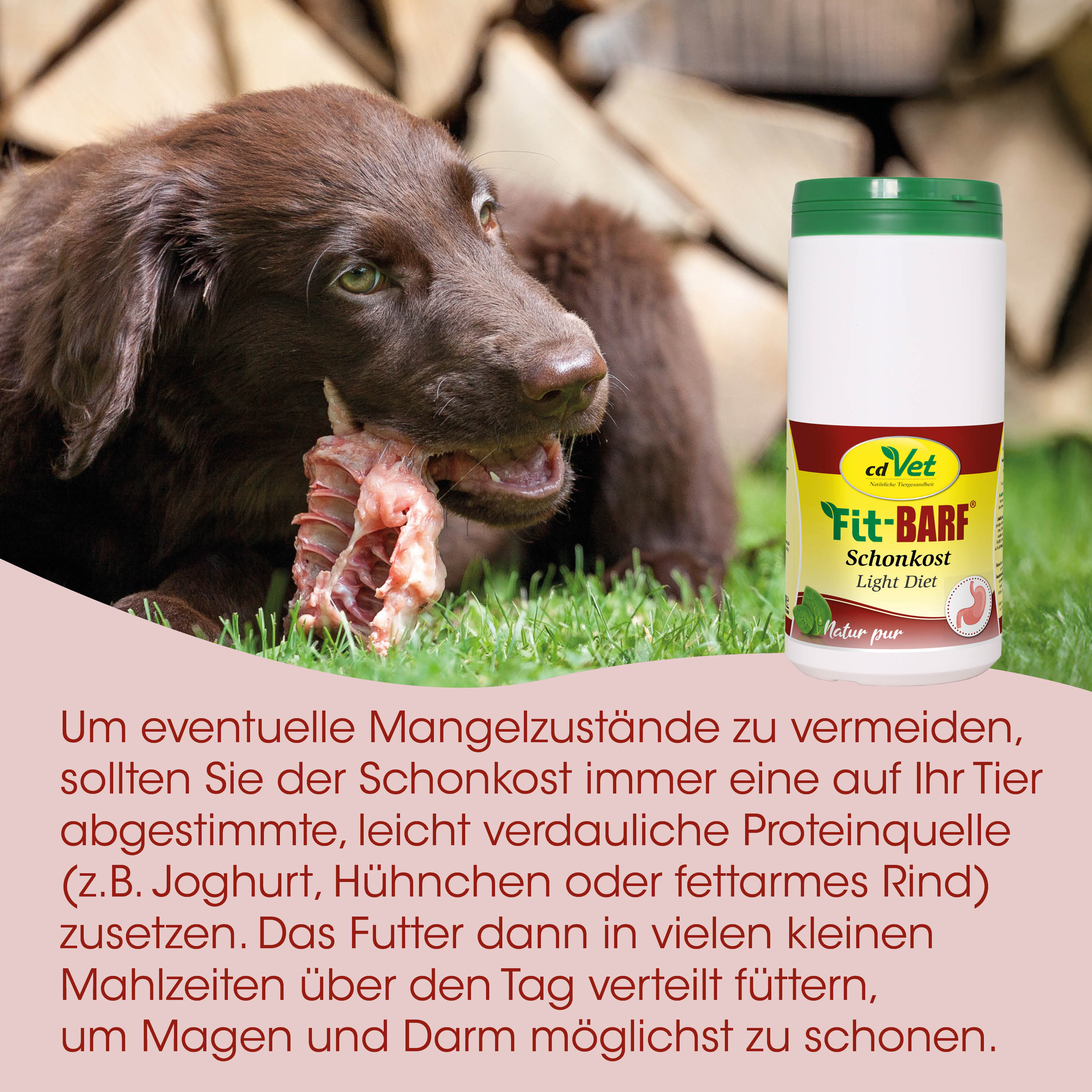 Hund, Schonkost, Rind, Futter, Kotundernahrung