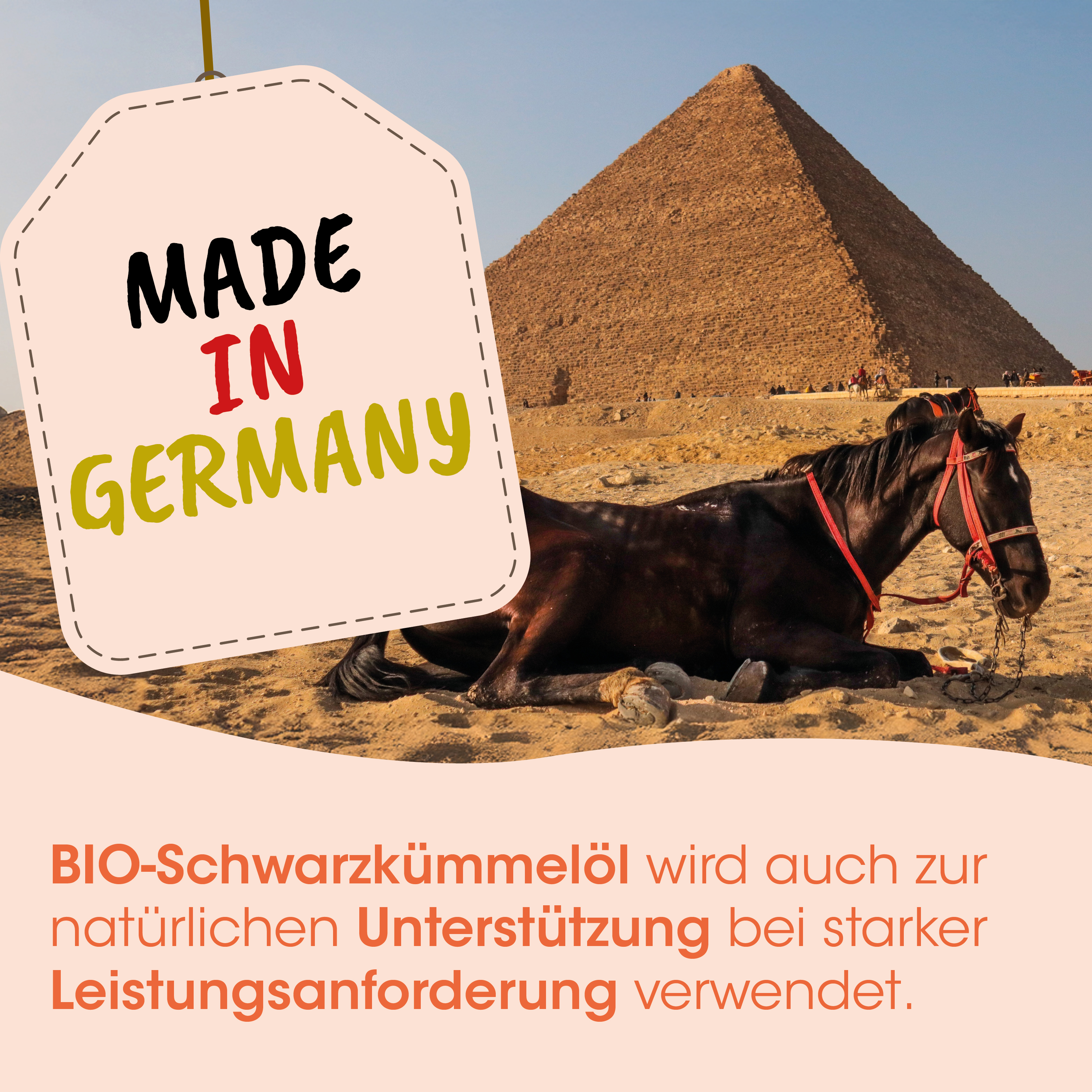Pyramide, Pferd, Sand, Label, Made in Germany