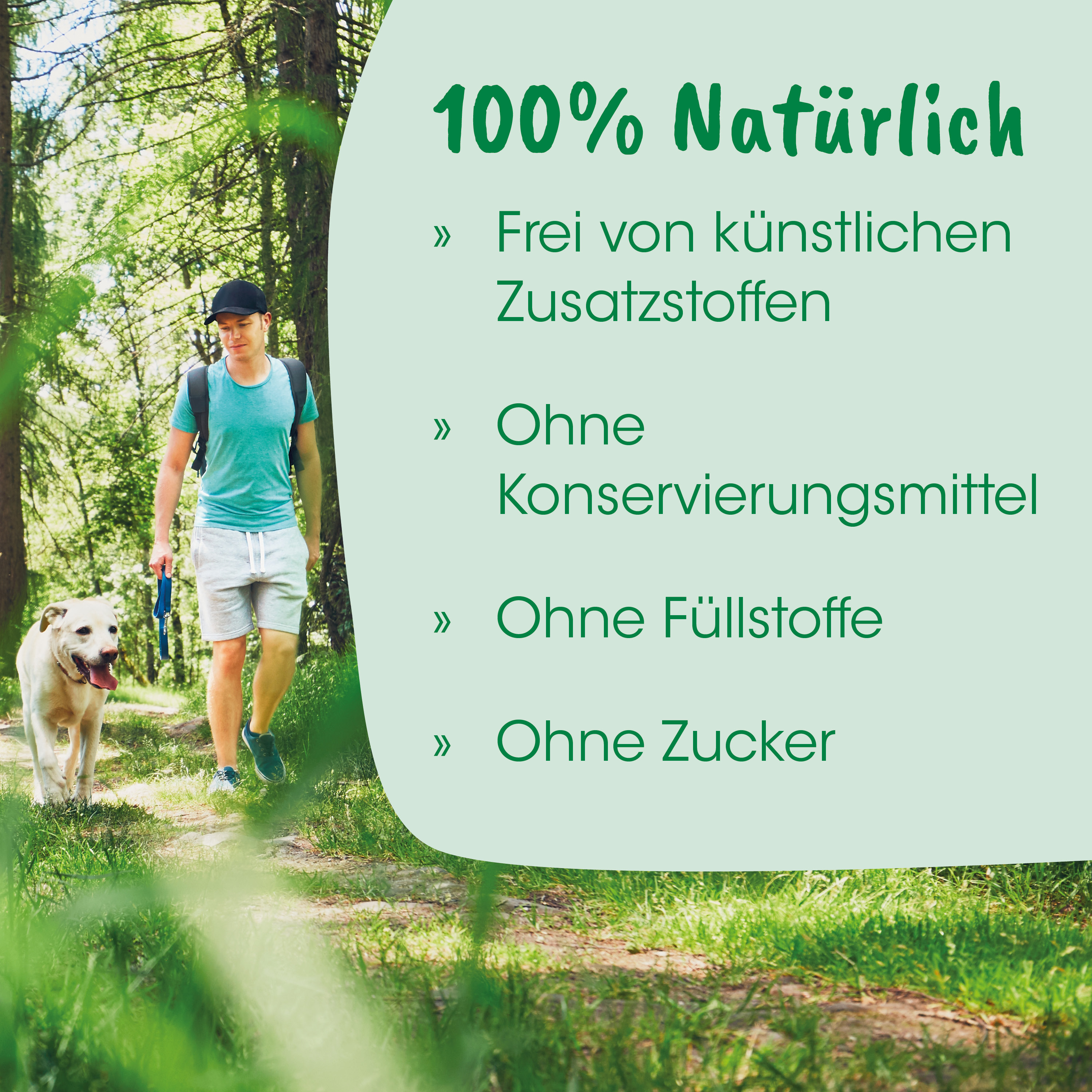 Mensch, Waldspaziergang, Hundeausflug, Outdoor-Aktivität, Anleitung-Werbung