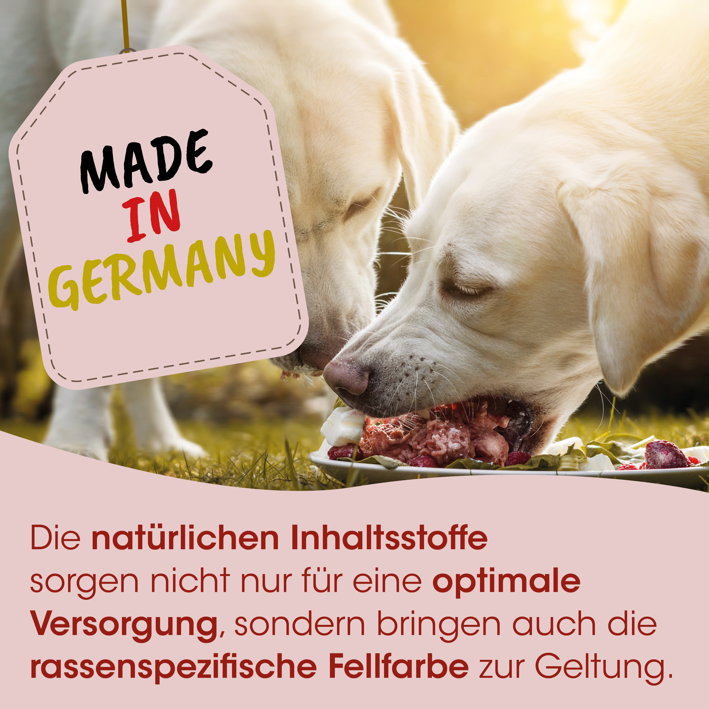 Hunde-Nahrung, Fleischfutter, Kauspiel, Rindfleisch, Made in Germany