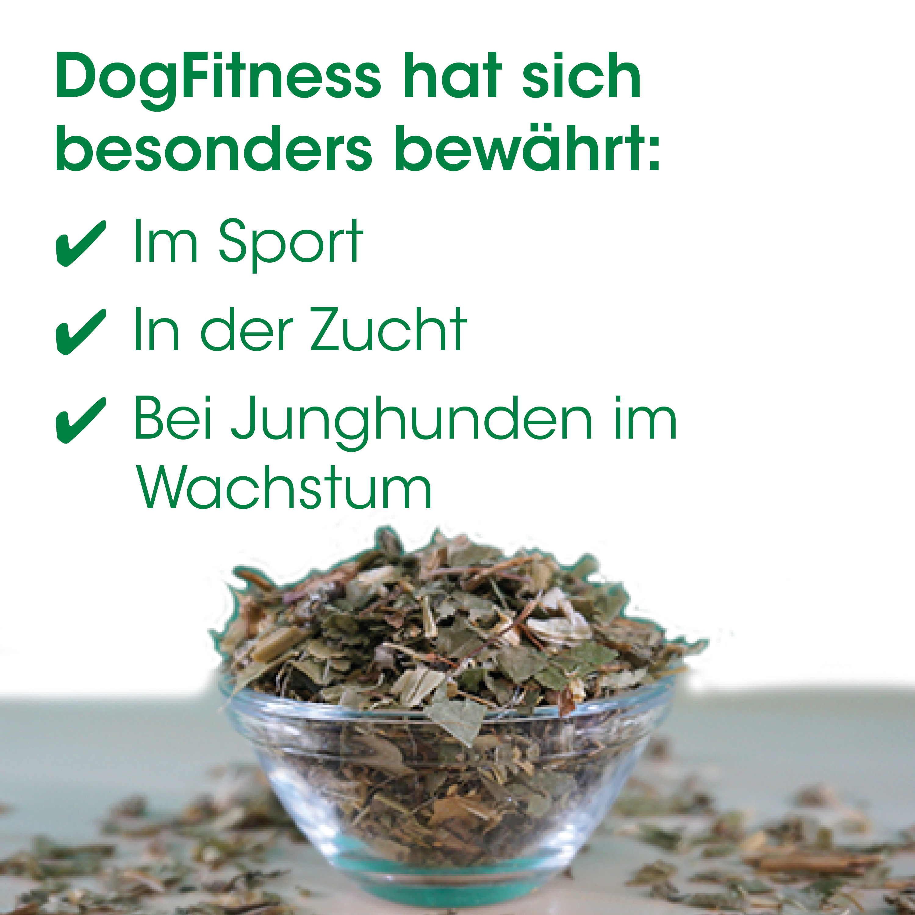 Kräutertee, Kräuter, Blätter, Glasbehälter, Tee