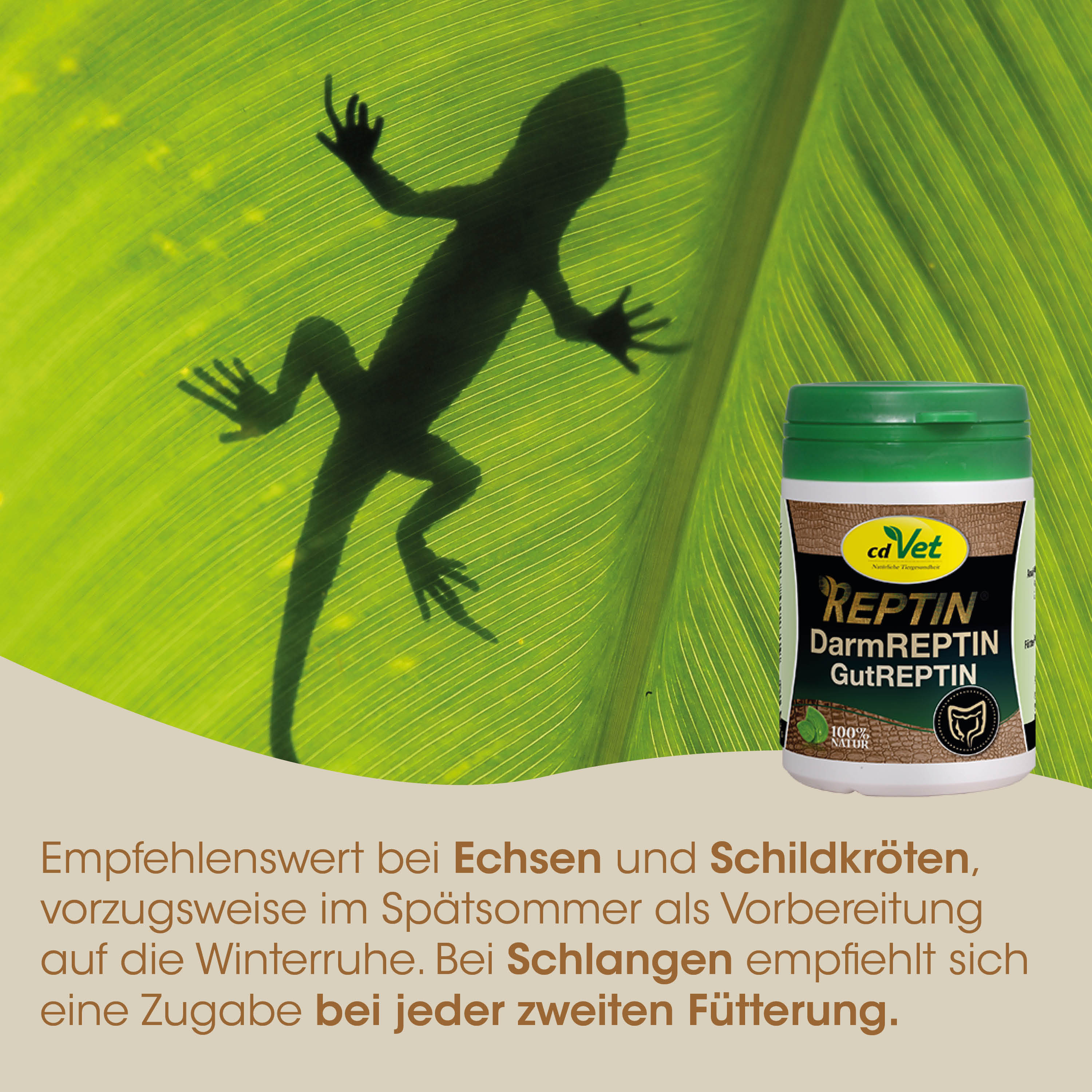 Reptin, Darm, Vitproduct, Tierfutter, Hundeprodukt