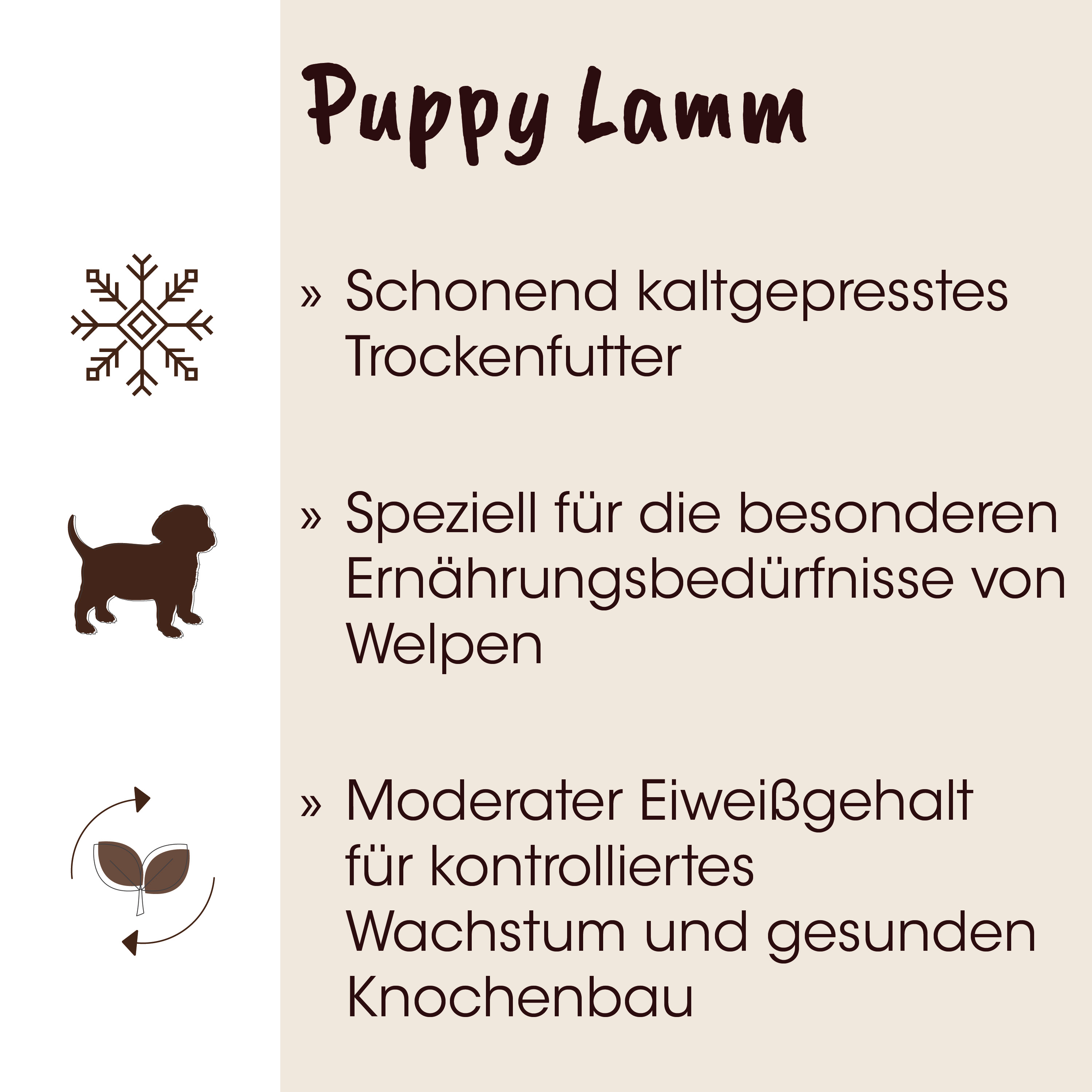 Hund, Trockenfutter, kalorienarm, Ernährung, Treuen