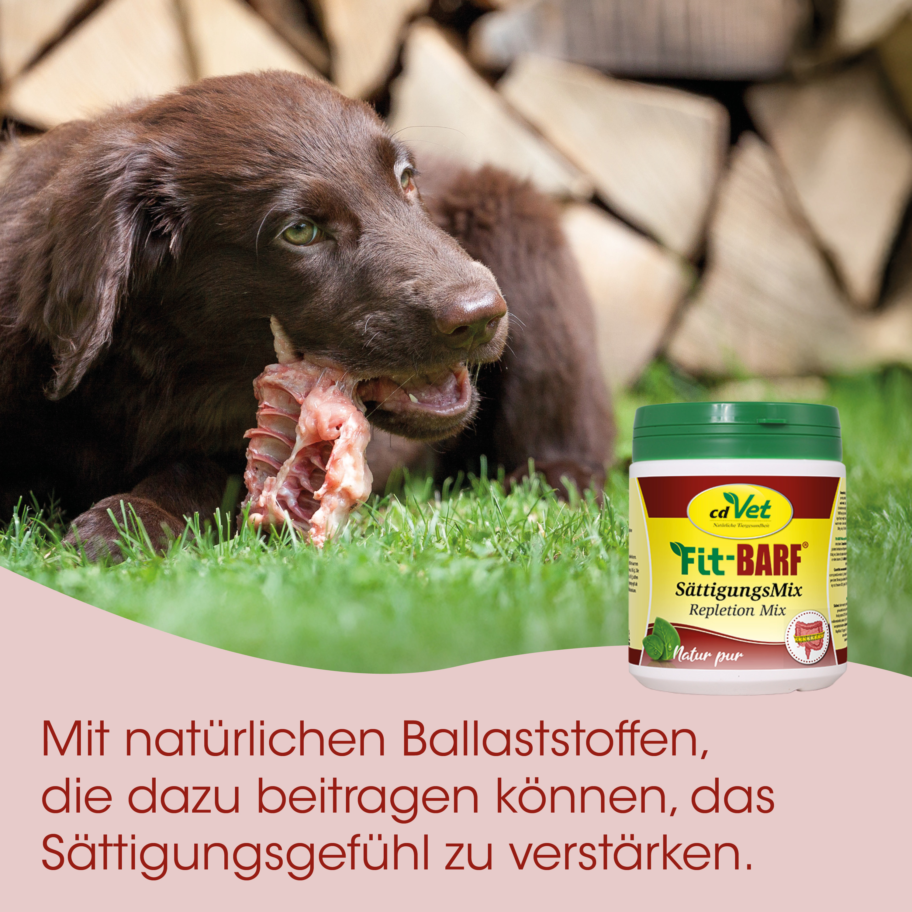 Hund, Kauknochen, Futter, Sättigungsfall, Tiernahrung