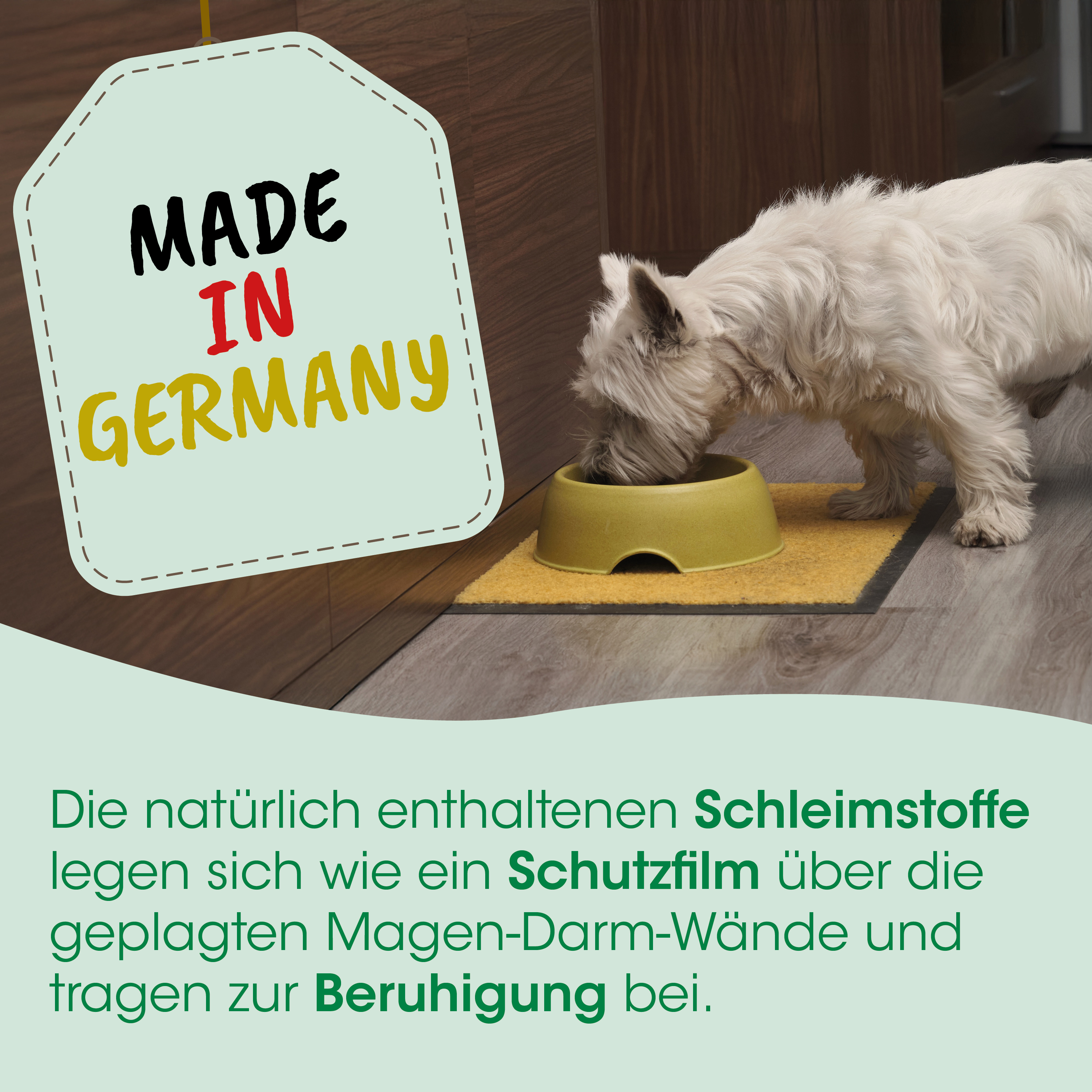 Hund, Futternapf, Nass-/Trockenfutterbehälter, Hundeschüssel, Gelb