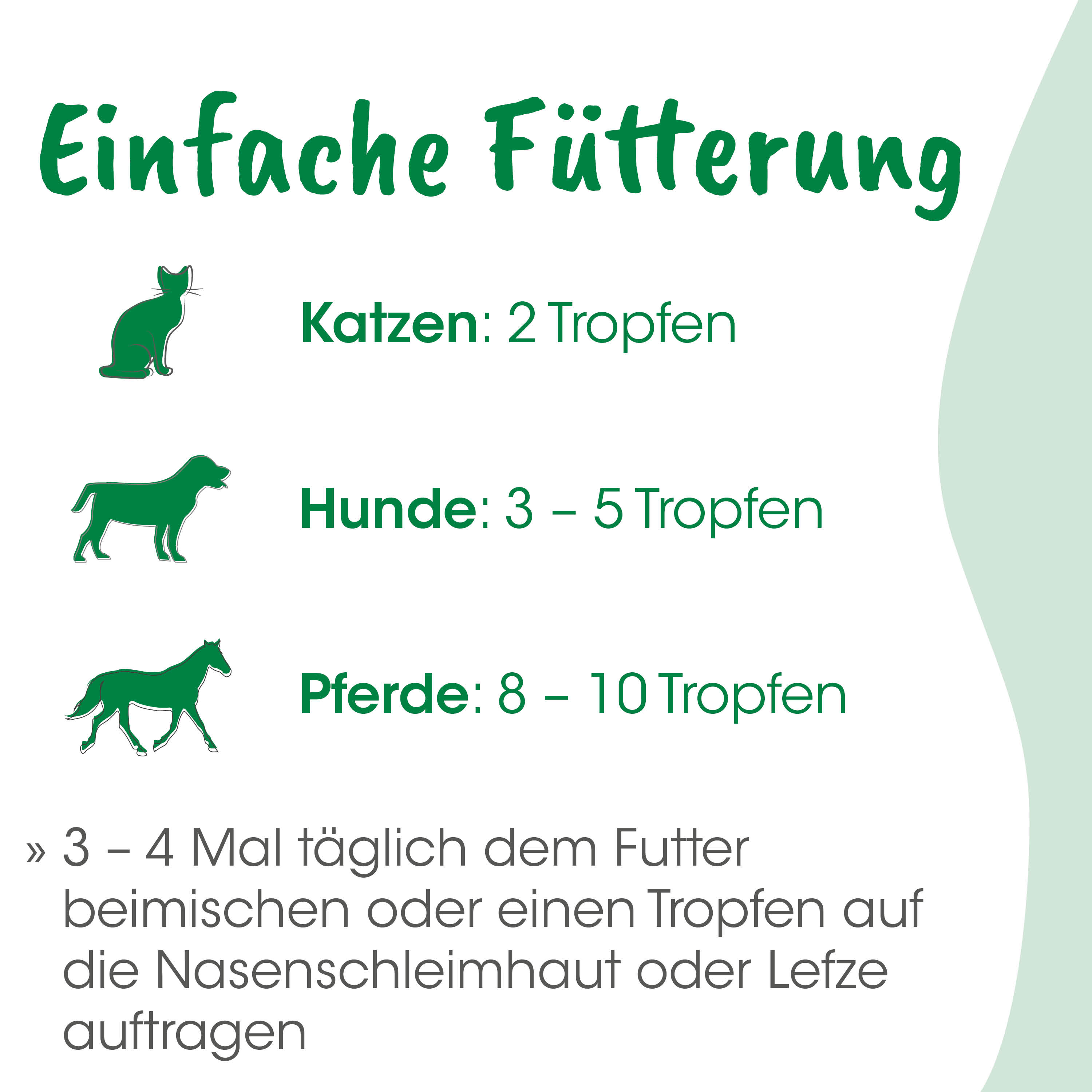 Katzenfutter, Trockenfutter, Tierfutter, Nahrungsmittel, Futterbedarf