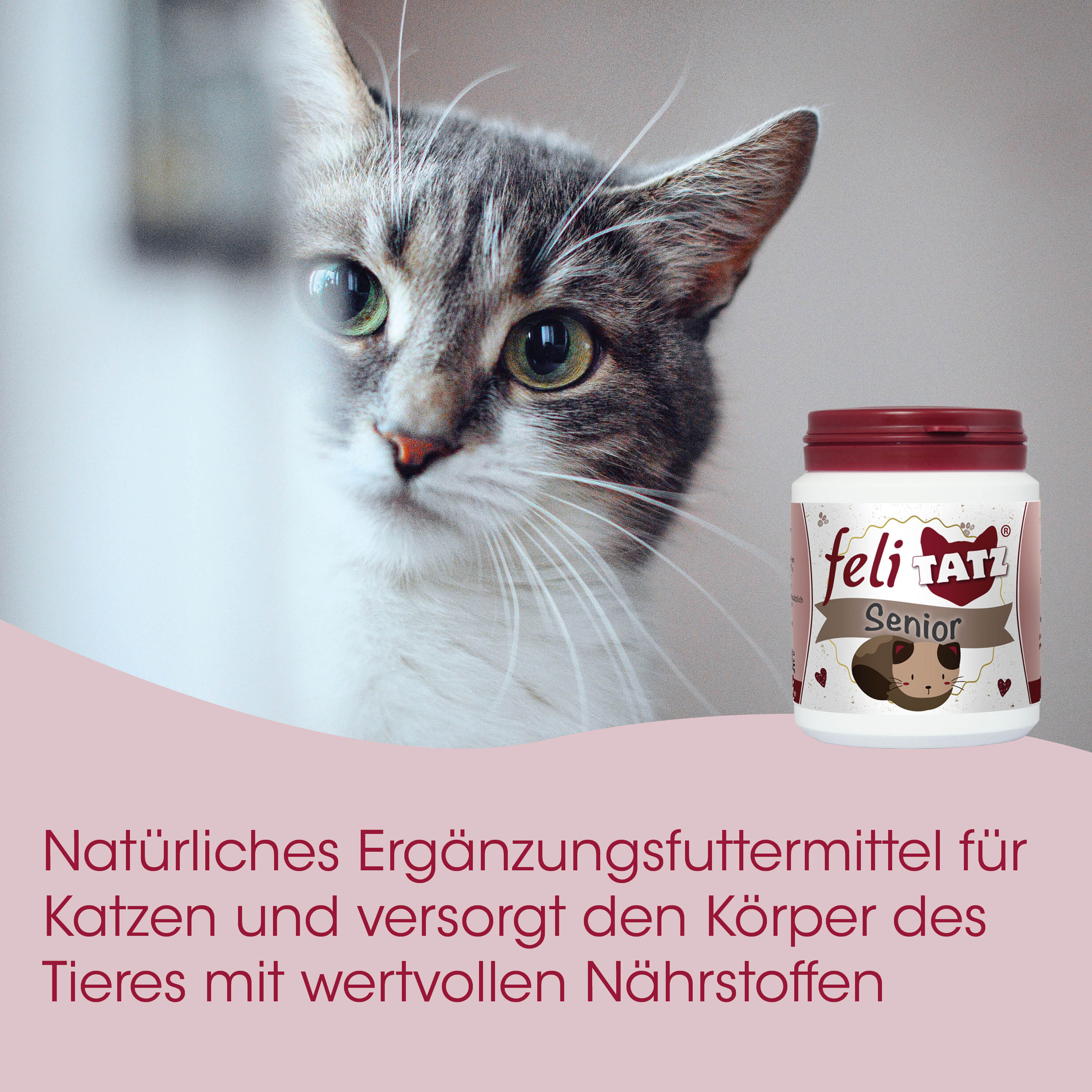 Katzenfutter, Ergänzungsfutter, Senior, Nahrungsergänzung, Katzennahrung