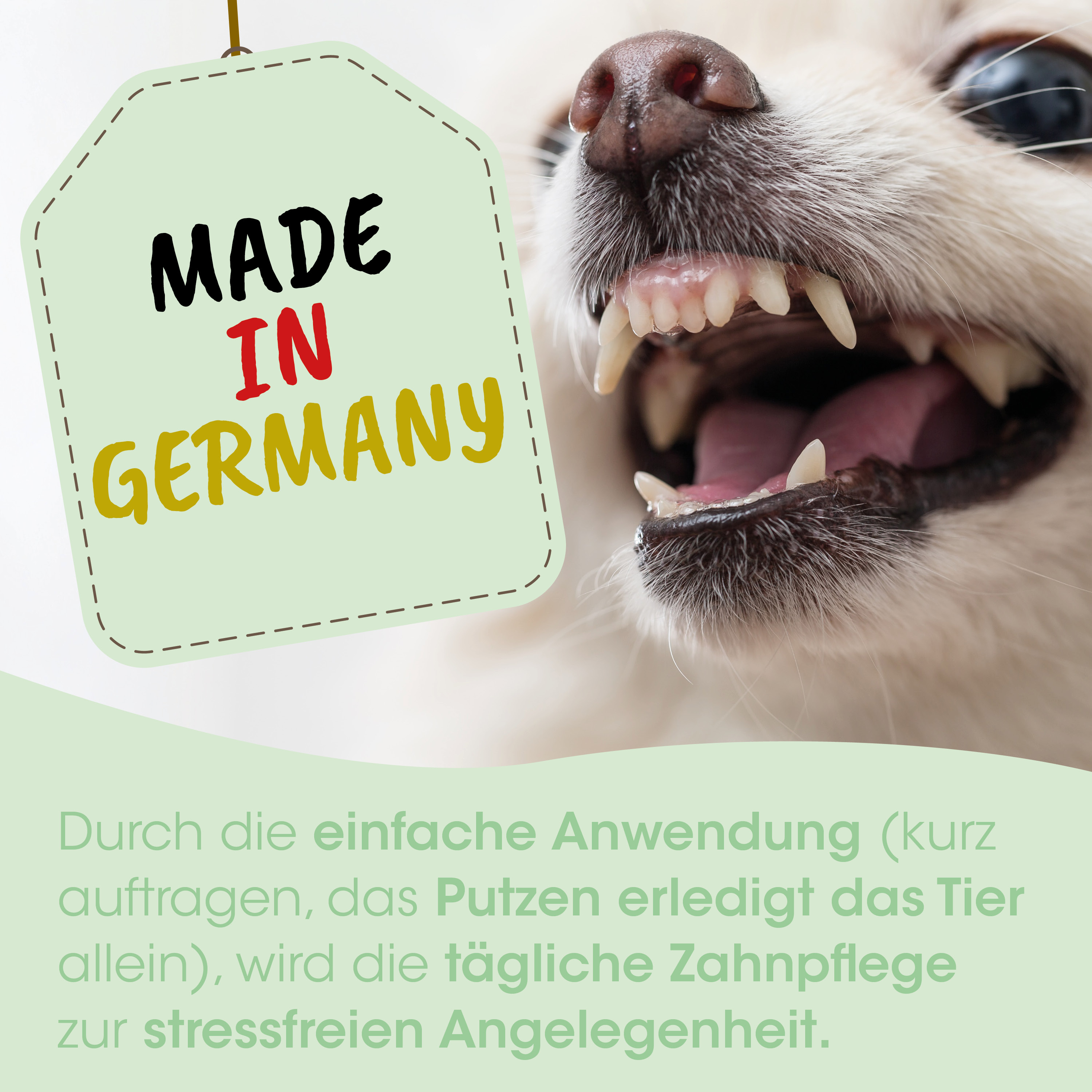 Hund, Made in Germany, Tag, Mund, Zähne